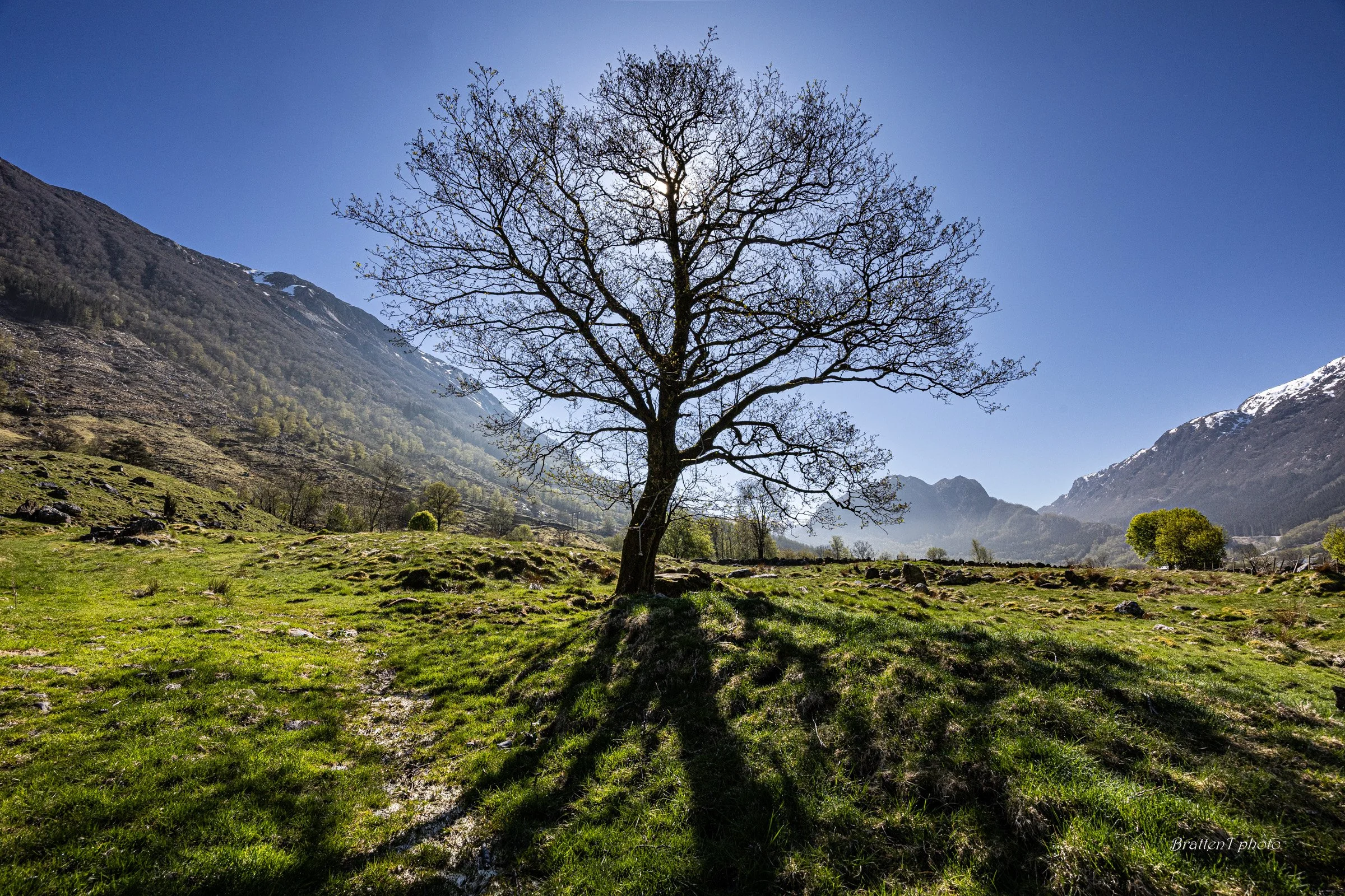 Foto: Tore Bratten