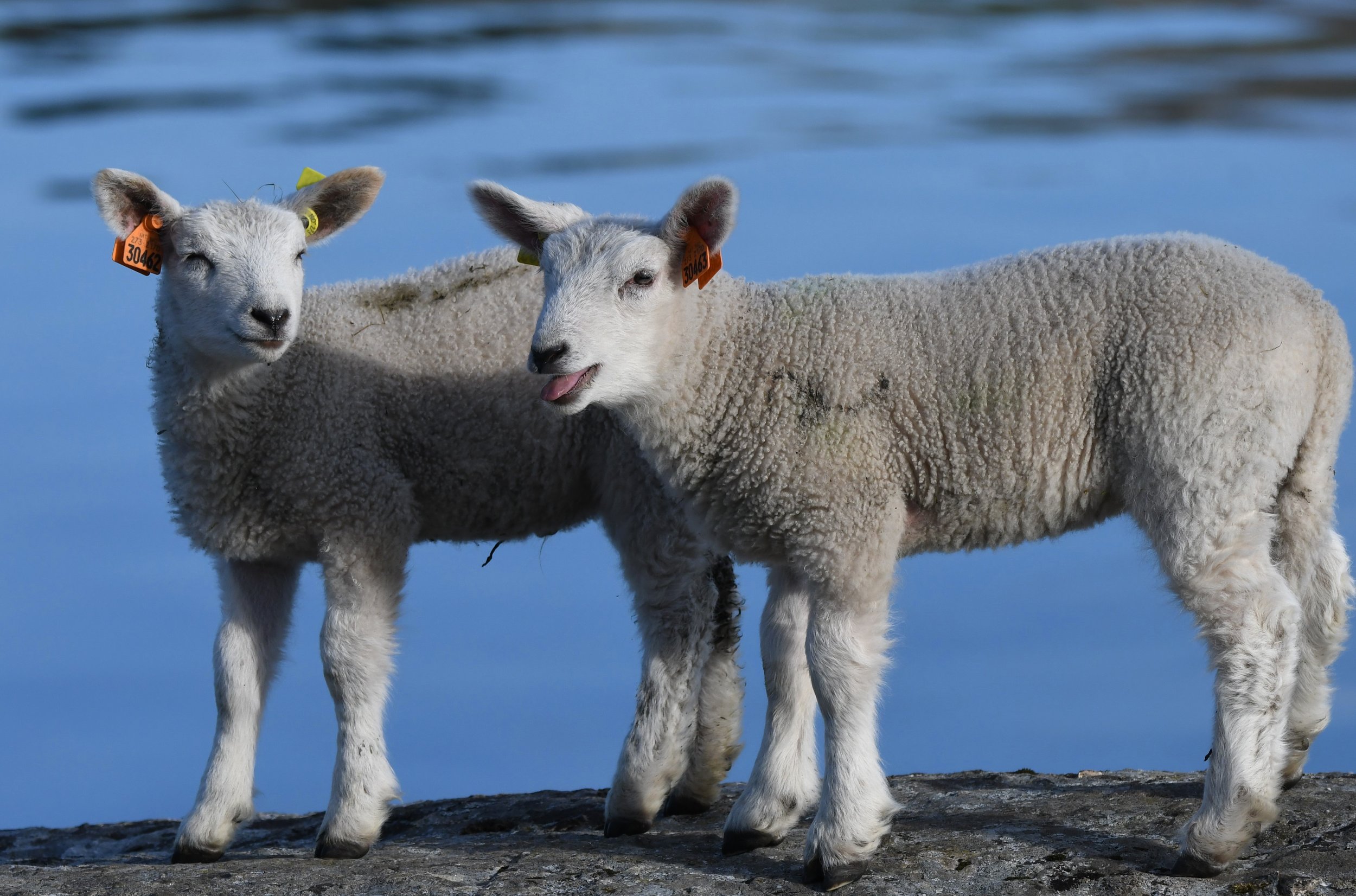 Foto: Jorunn Askeland