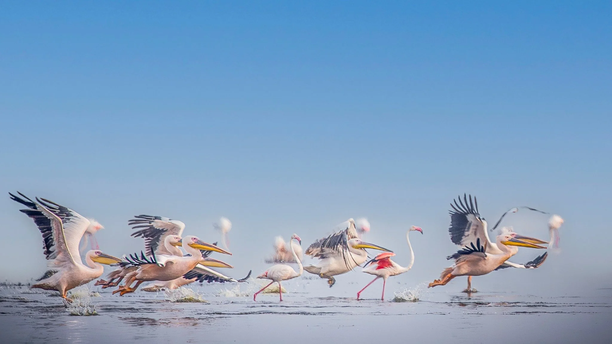 Foto: Geir Olaf Gjerden