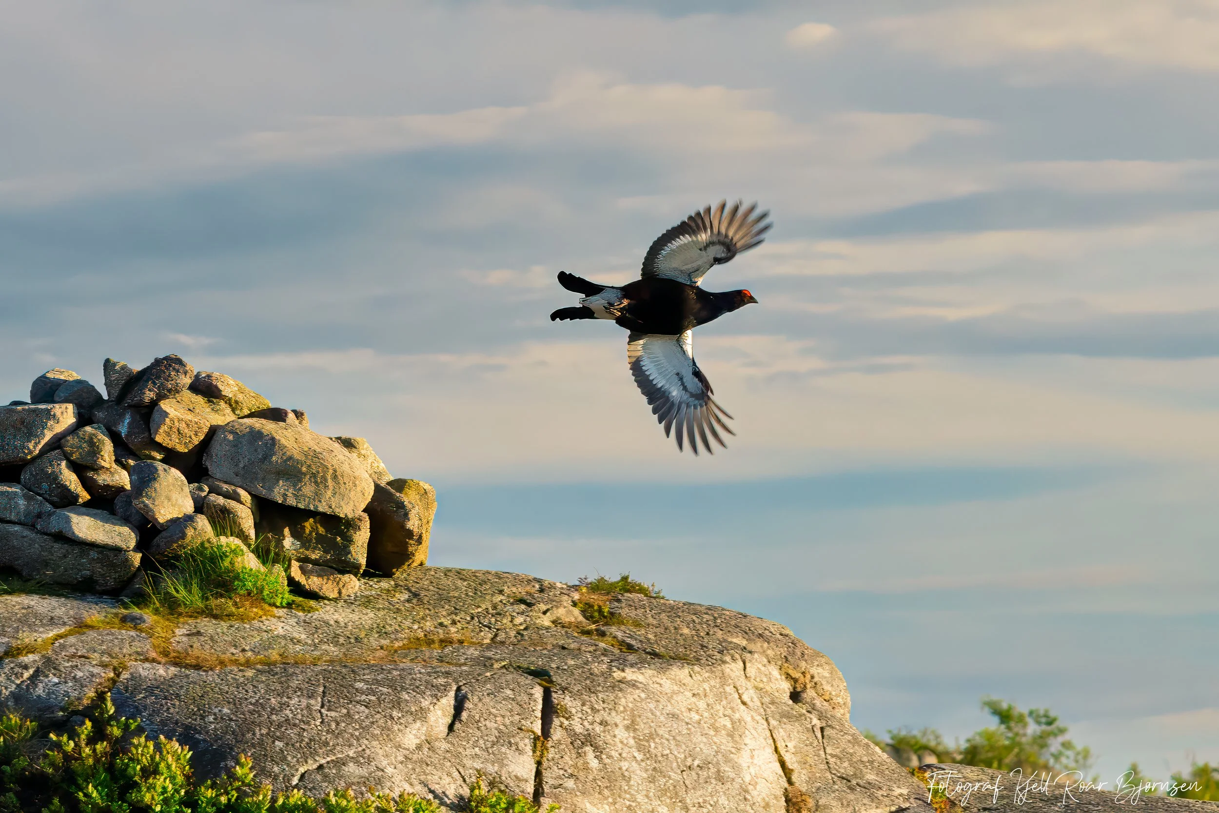Foto: Kjell Roar Bjørnsen