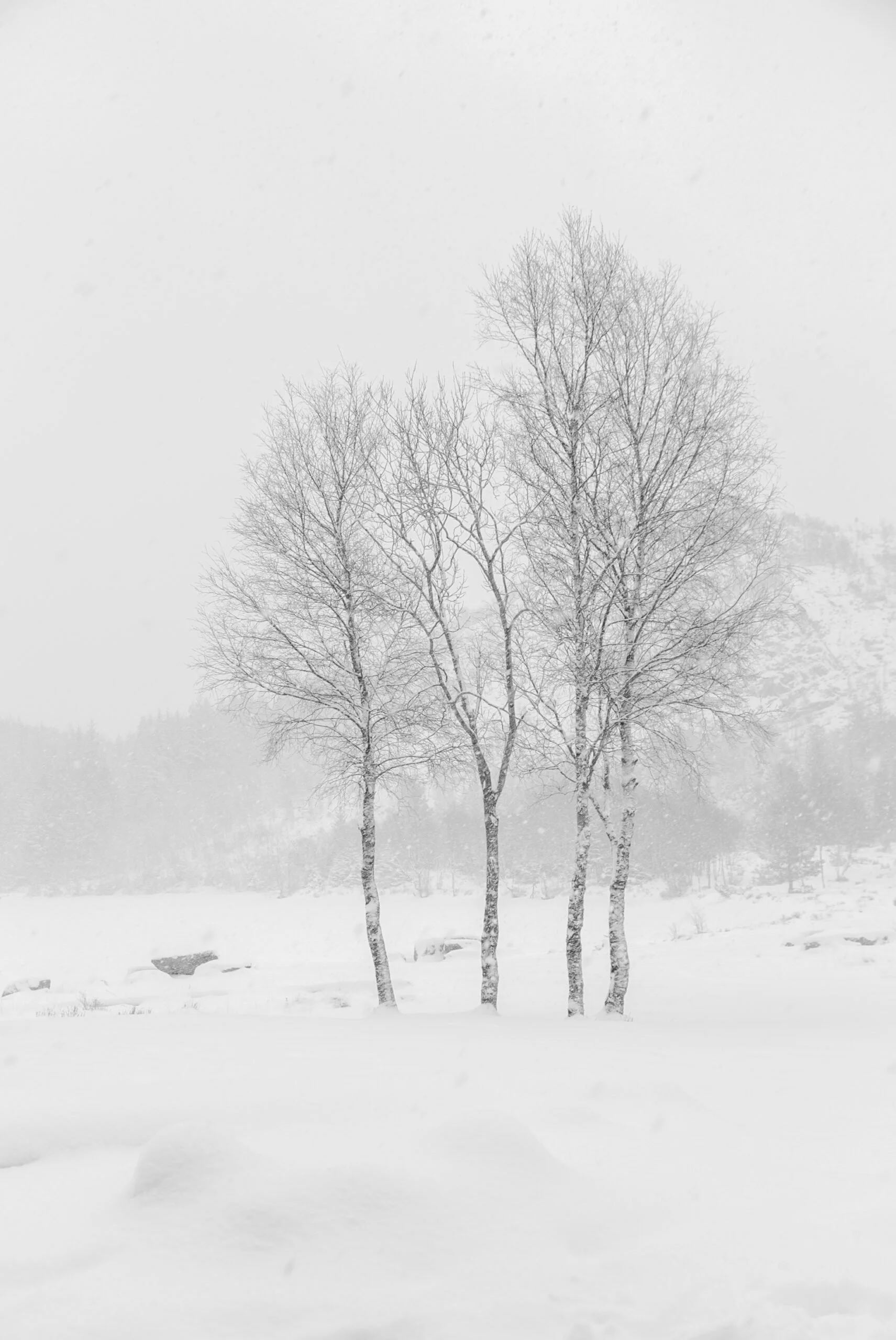 Foto: Bente Larsson-Fedde