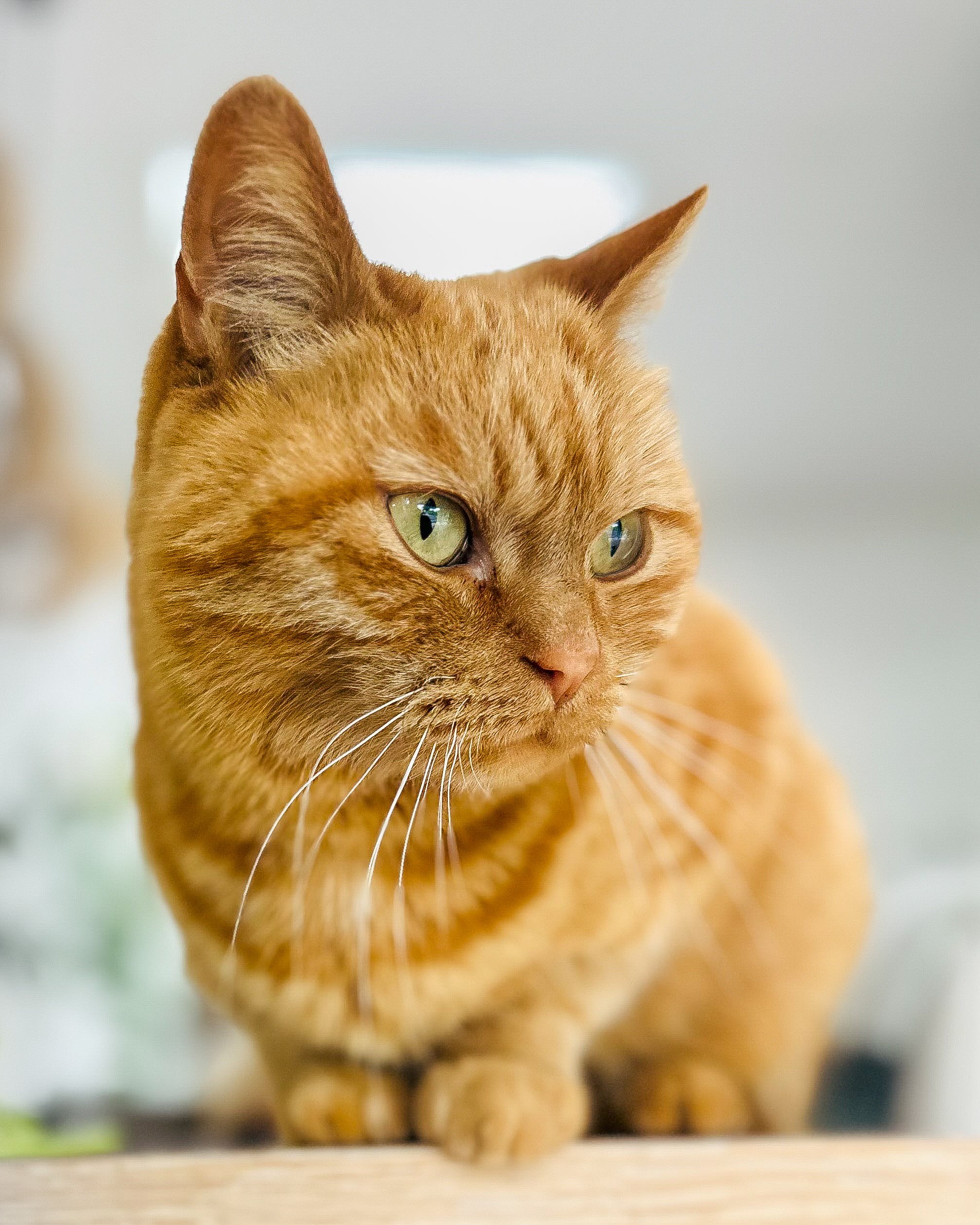 Foto: Eric Mathiesen (mobil)