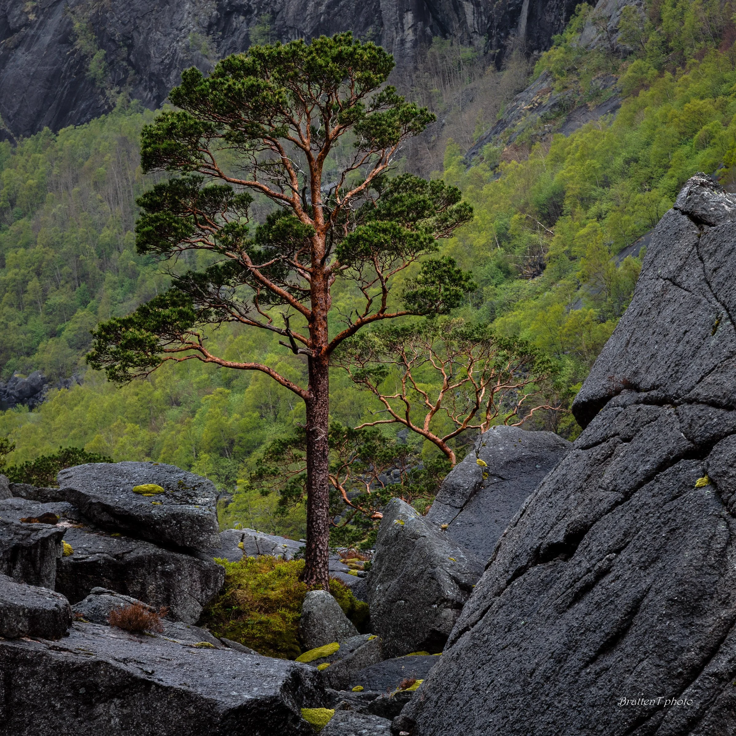 Foto: Tore Bratten