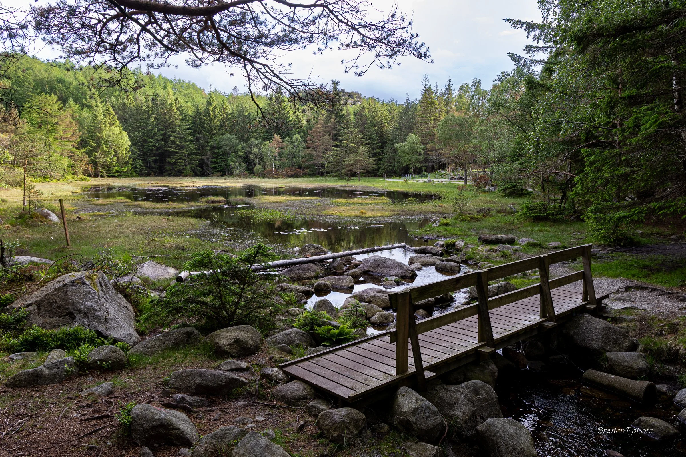 Fra Kubbetjønn, Foto: Tore Bratten
