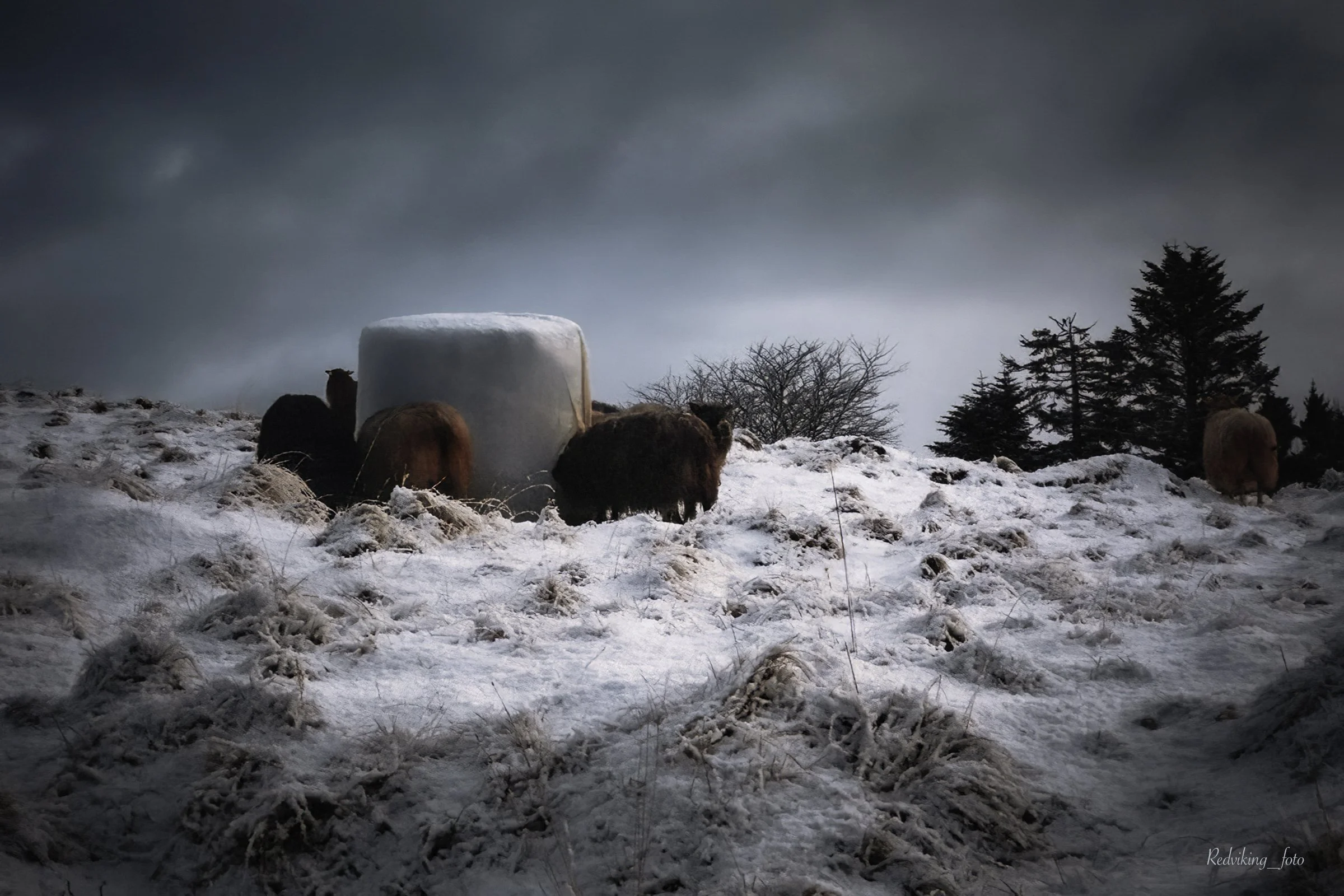 Foto: Eric Mathiesen