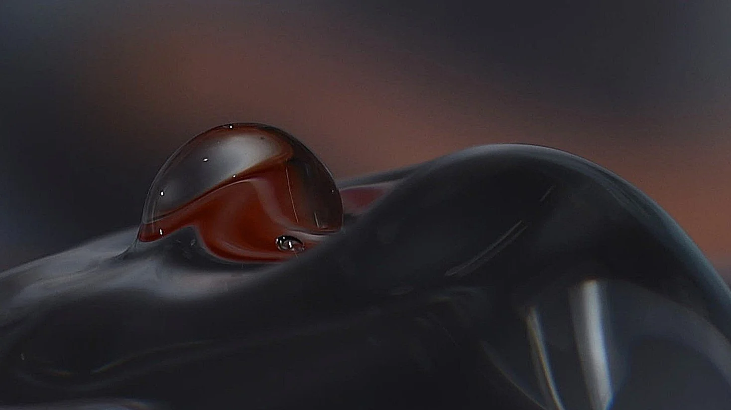 Vanndråper, Foto: Jorunn Askeland