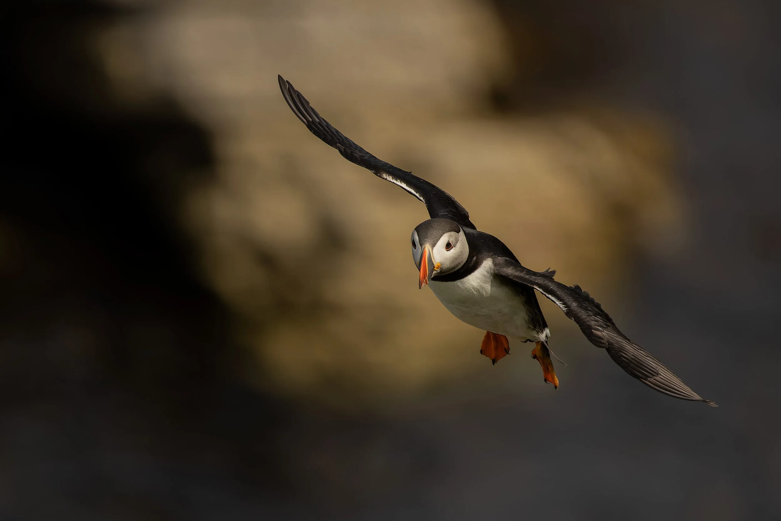 Lunde, Foto; Oddvar Drange