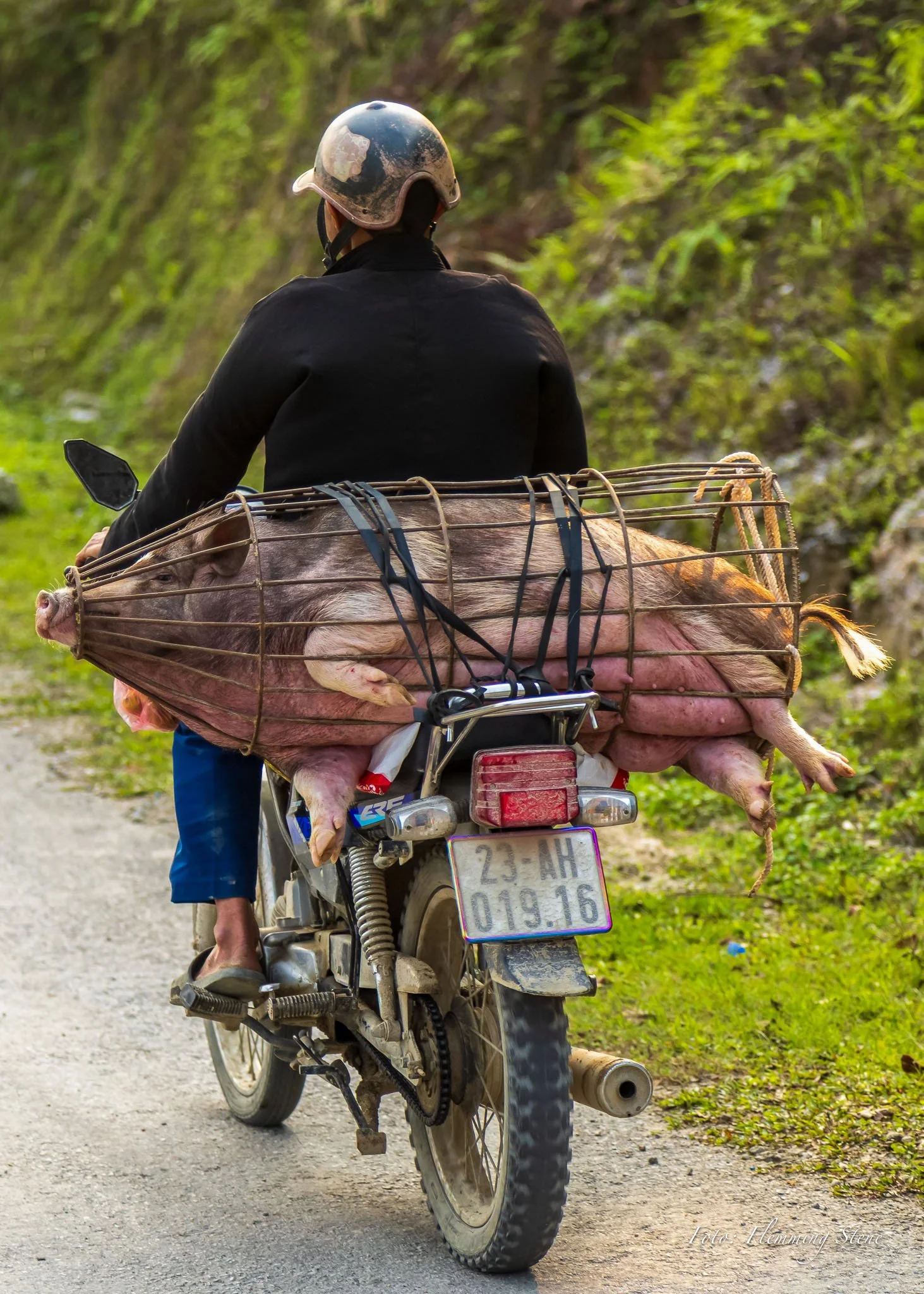 Foto: Flemming Stene