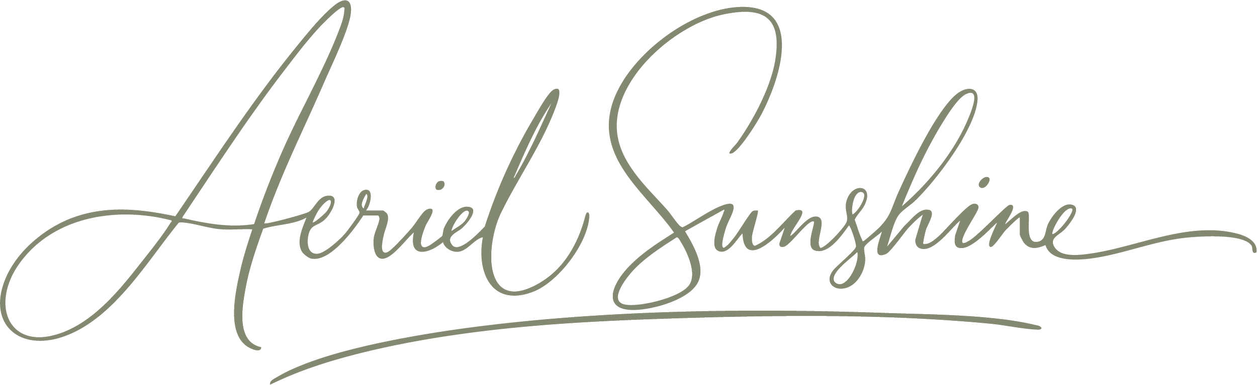 Stylized cursive text that reads "Aeriel Sunshine".