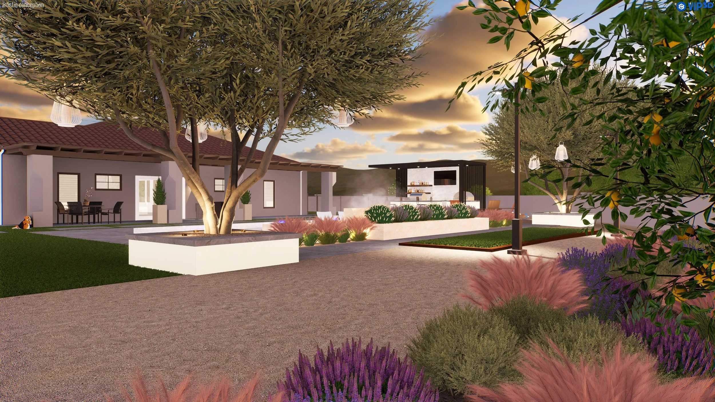 The Olive Grove Project