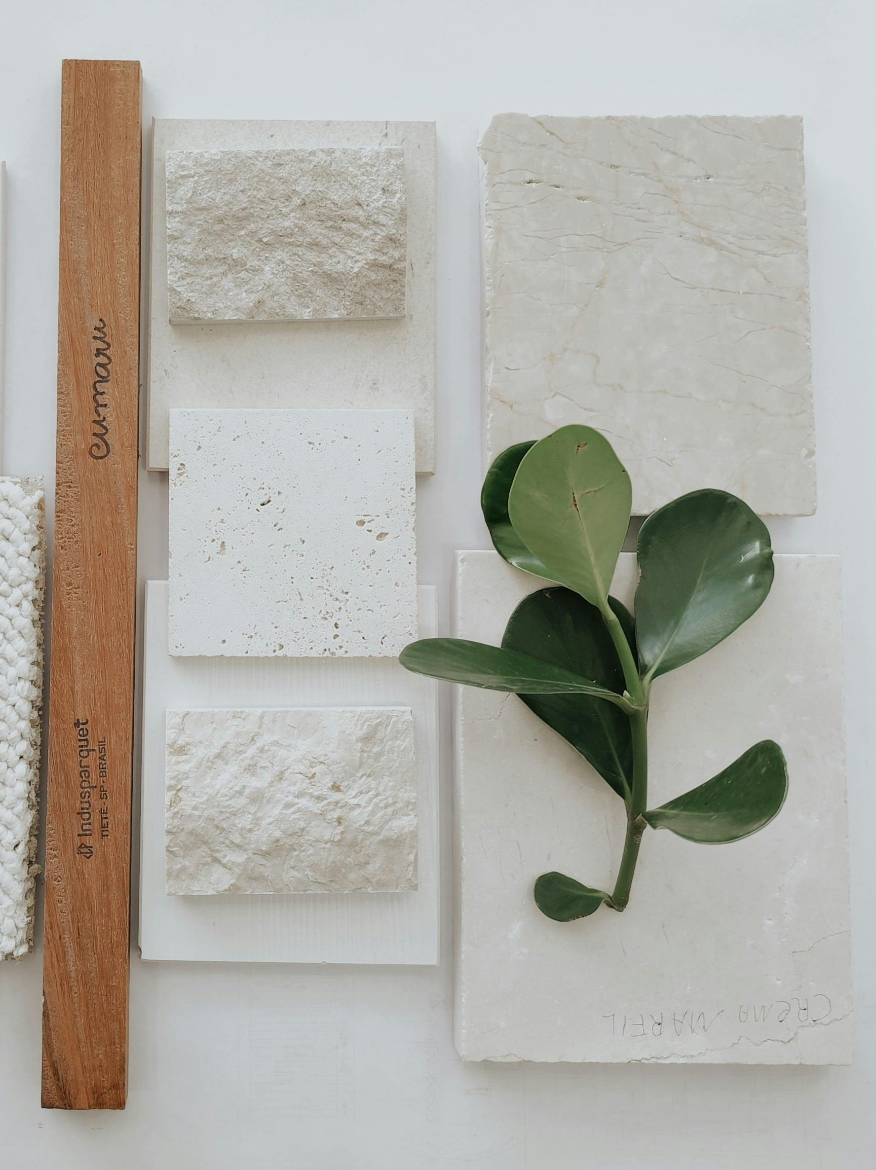 A collection of tile samples including a large cream-colored marble tile, a smaller textured beige tile, a white tile with small perforations, and a light stone tile. A green leafy plant is placed beside the tiles on a white surface.