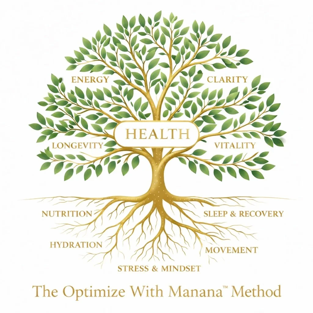 A tree diagram illustrating the 'Optimize With Manana' method for health, with the word 'HEALTH' in the center, surrounded by branches labeled 'Energy,' 'Clarity,' 'Longevity,' 'Vitality,' with roots labeled 'Nutrition,' 'Hydration,' 'Sleep & Recovery,' 'Movement,' and 'Stress & Mindset'.