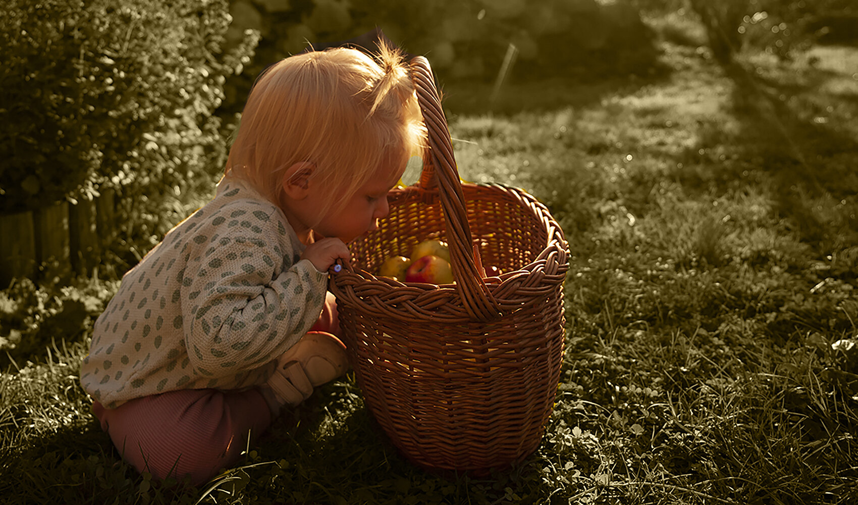 littlegirlbasketlowhangingfruitsepia1000x1700.jpg