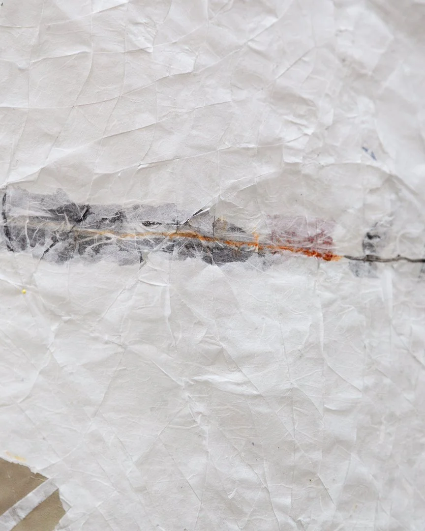 Portrait Series-108.jpg