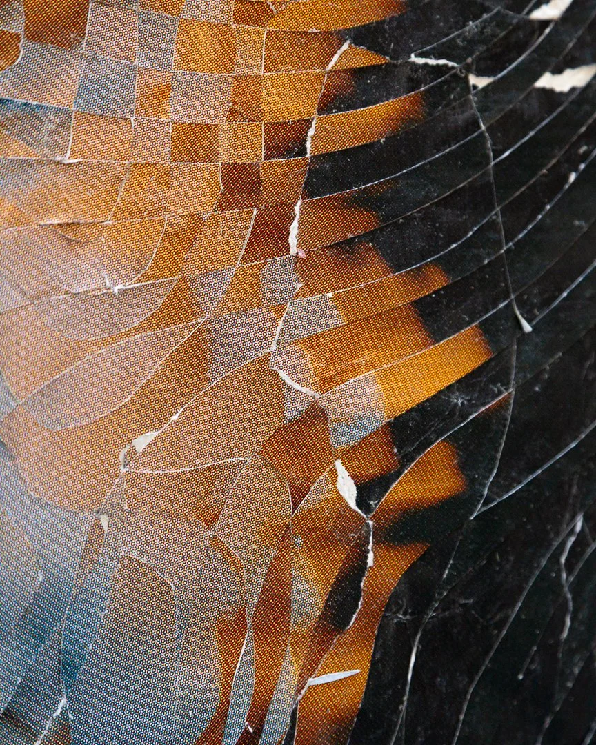 Duchess of Urbino-13.jpg