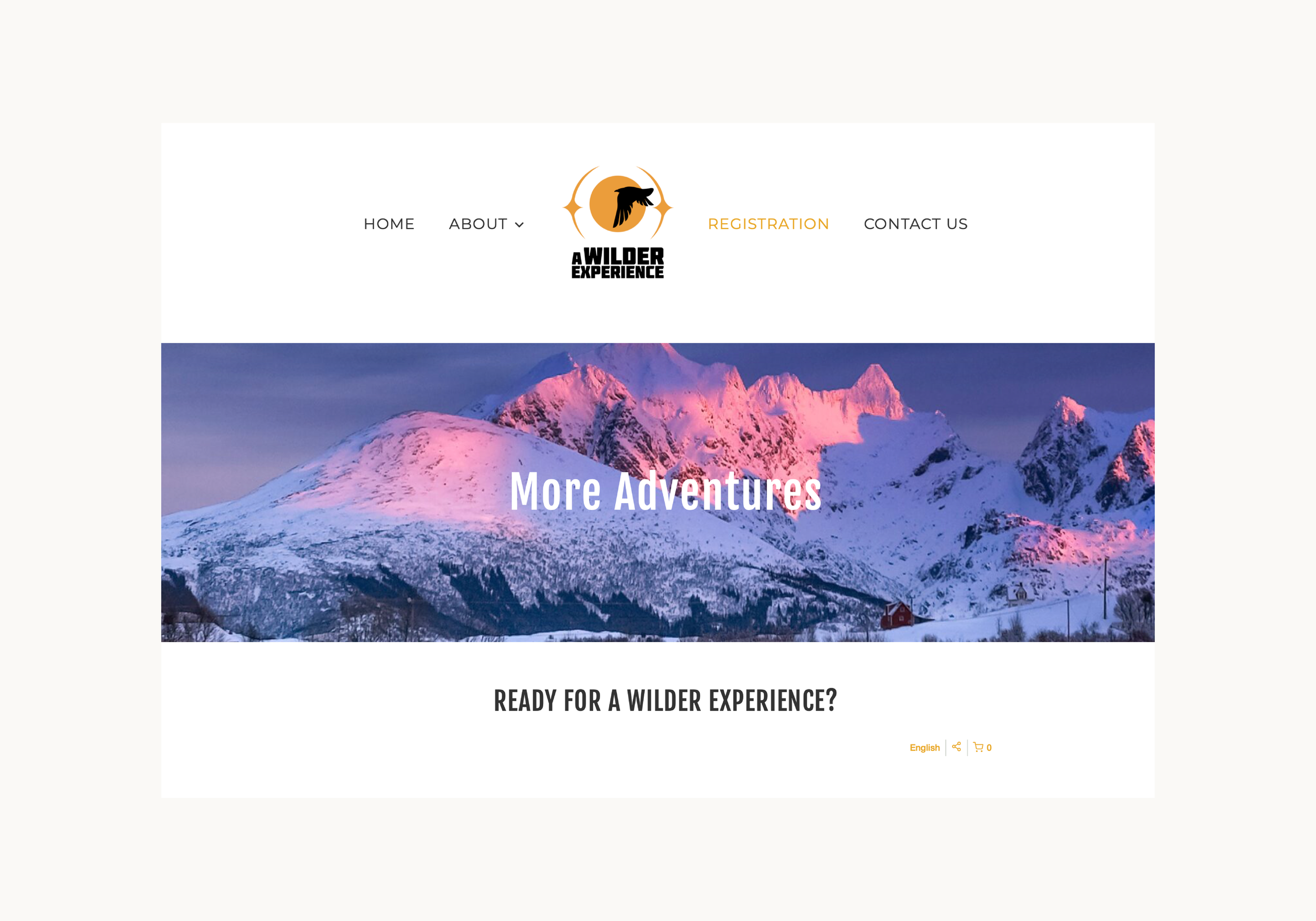 AWE_casestudy-05.png