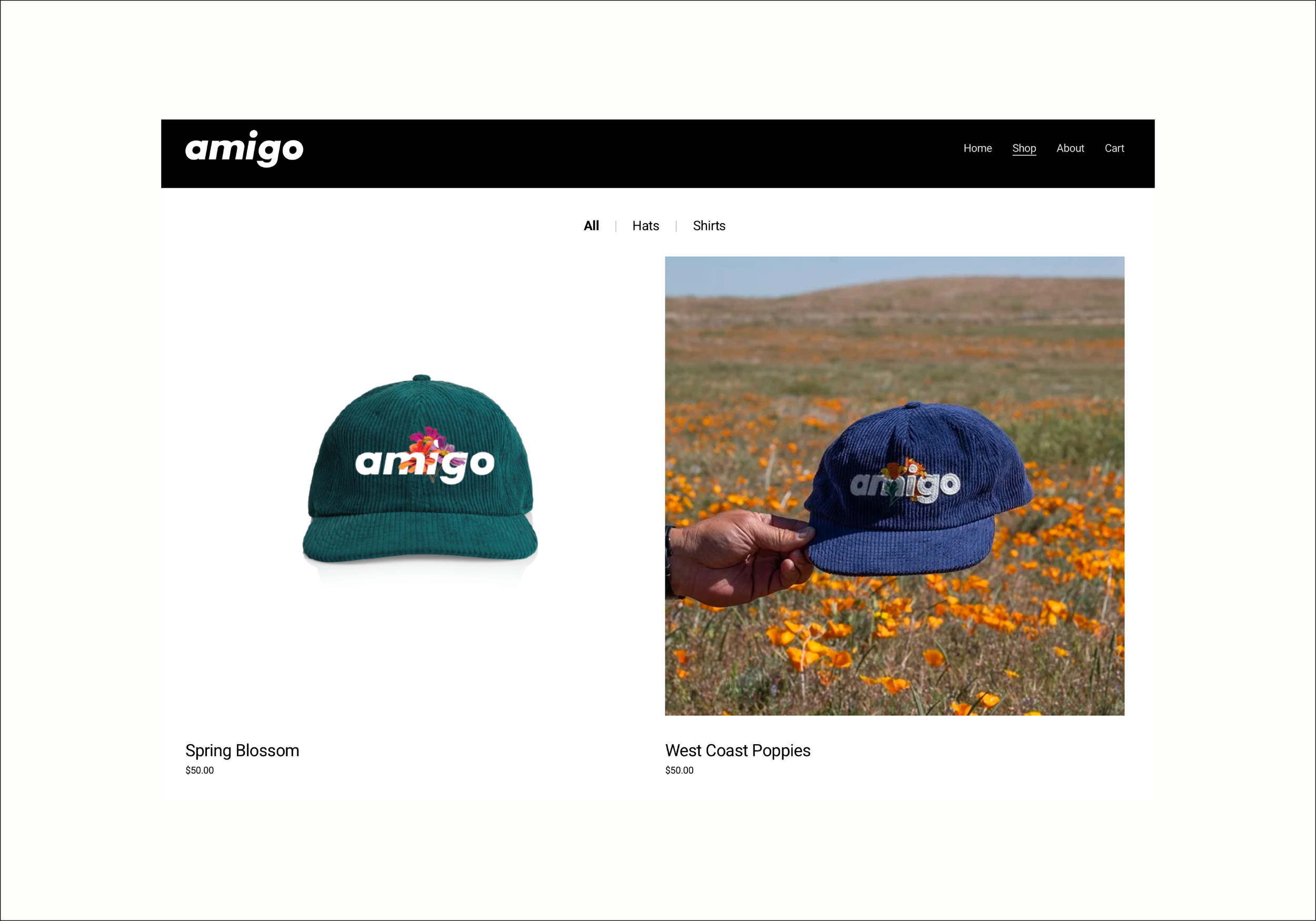 amigo_casestudy copy-06.png