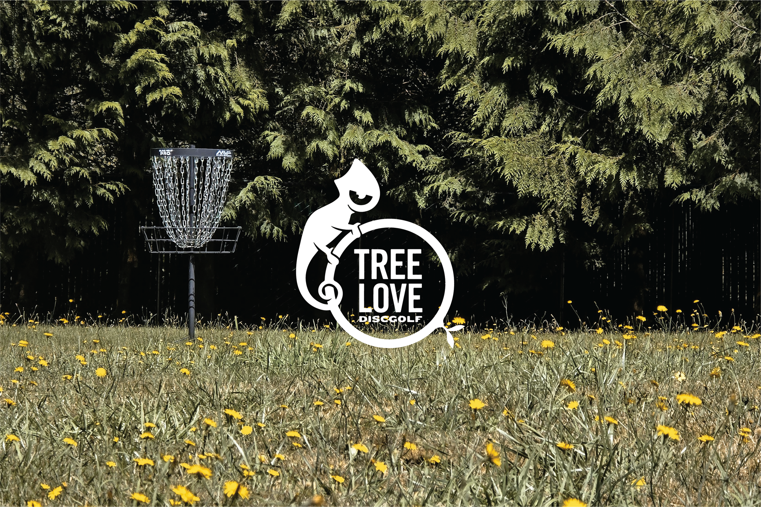 Tree Love             2023