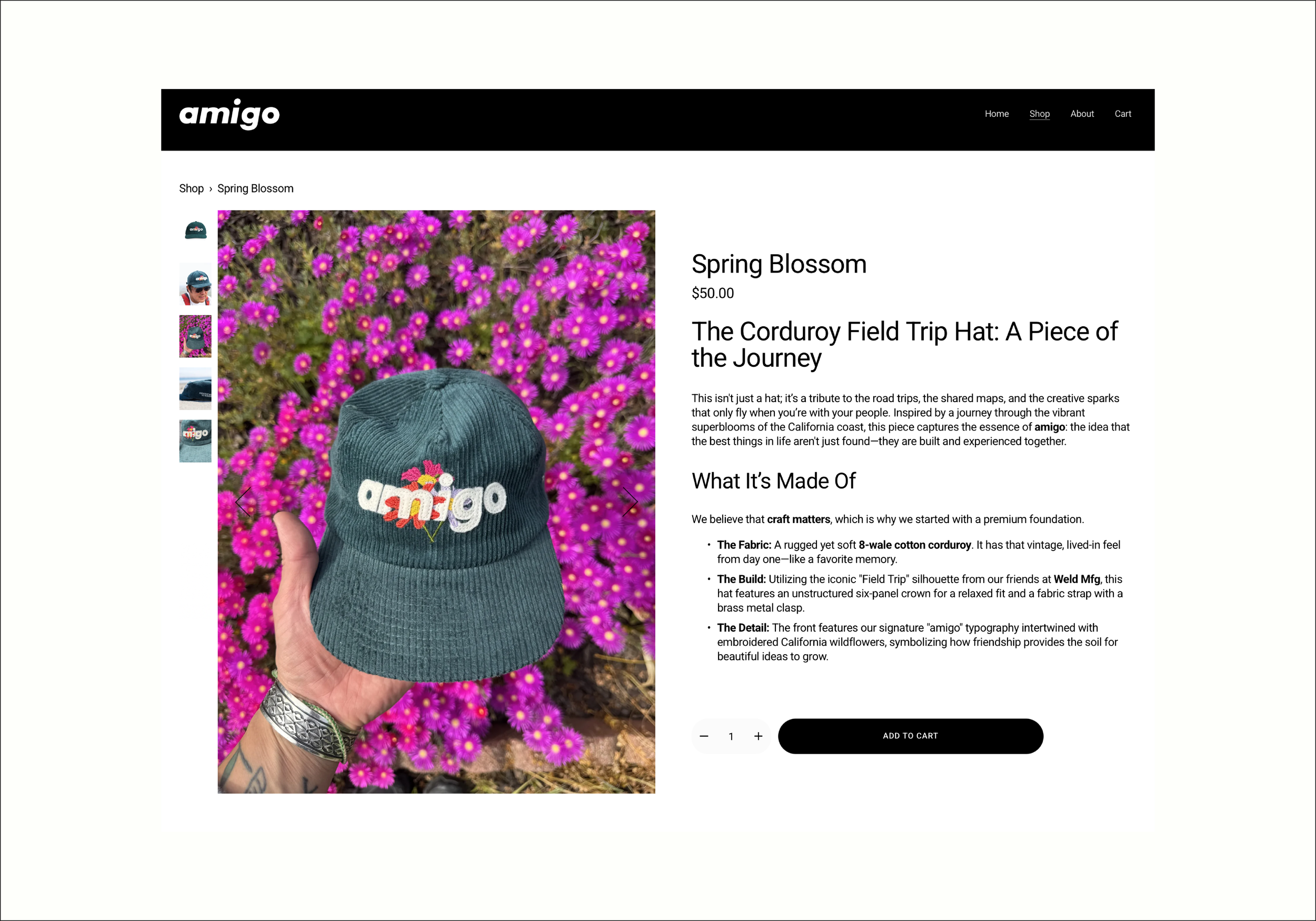 amigo_casestudy copy-07.png