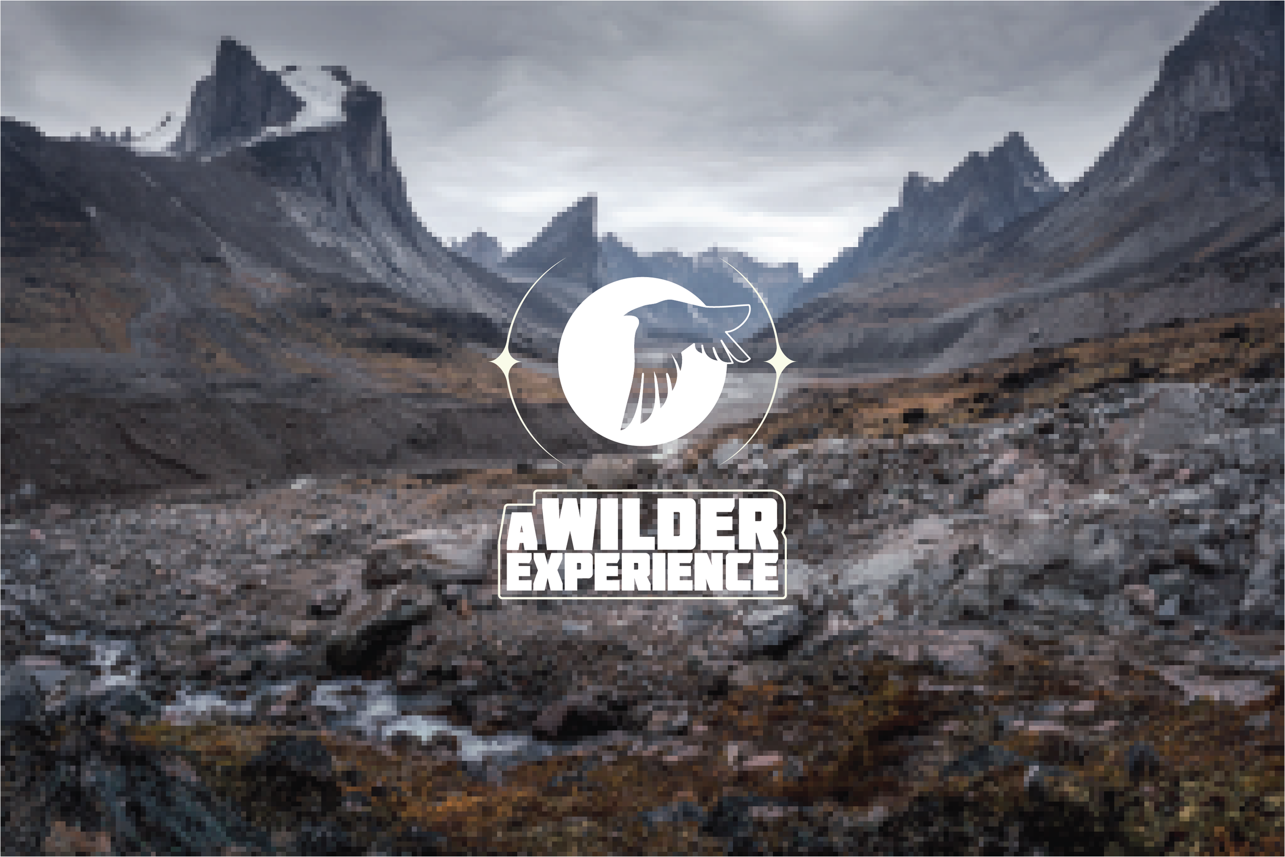 A Wilder Experience     2024