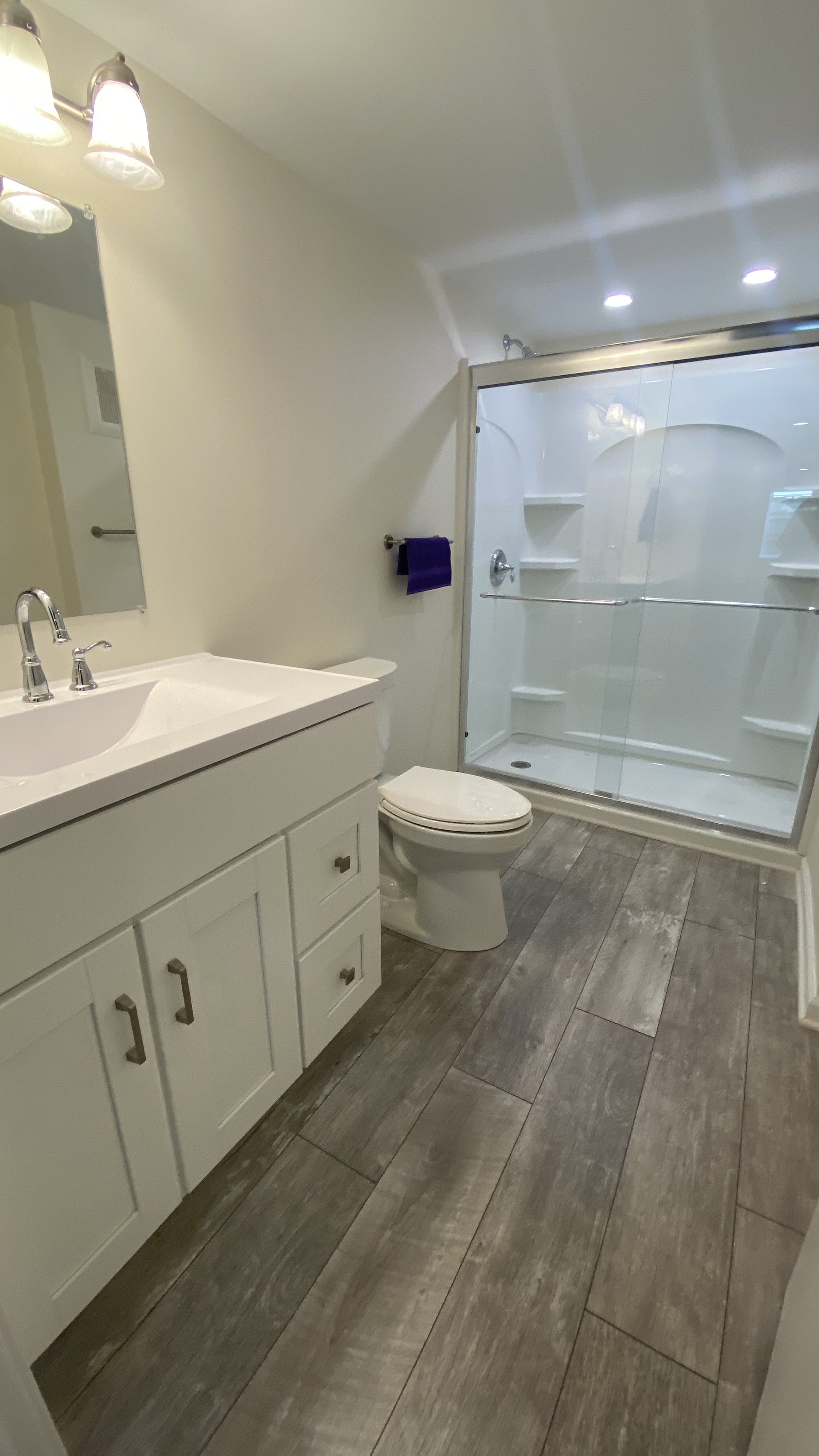 Bathroom with vanity, mirror, toilet, and glass shower enclosure with built-in shelves and a handrail.