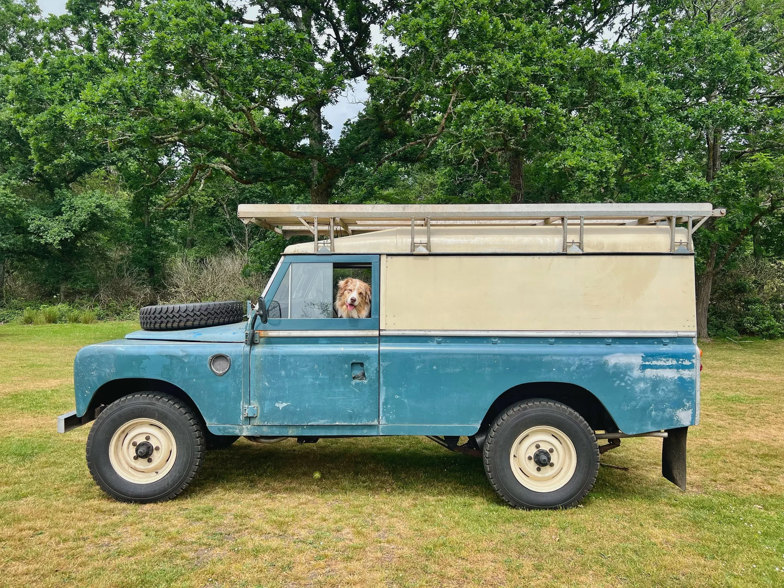 Land Rover loaded. Steak ready. Dog supervising. 😎 

Setting up in the New Forest for tomorrow&rsquo;s @garminuk Ride Out event!