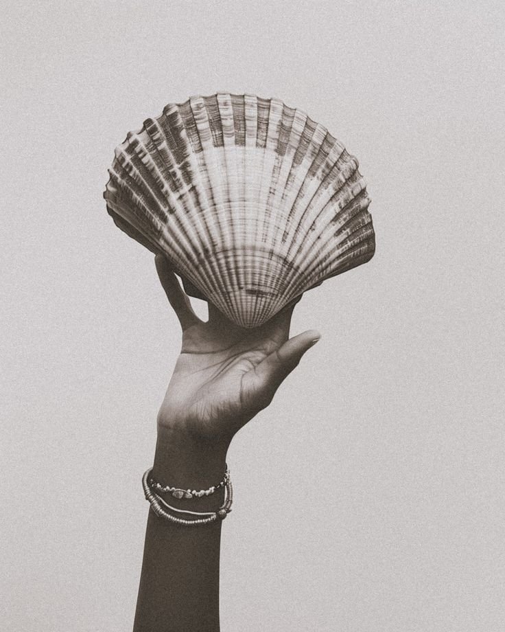 Black and white photography of a hand holding a seashell inspired by Mediterranean coastal aesthetics.