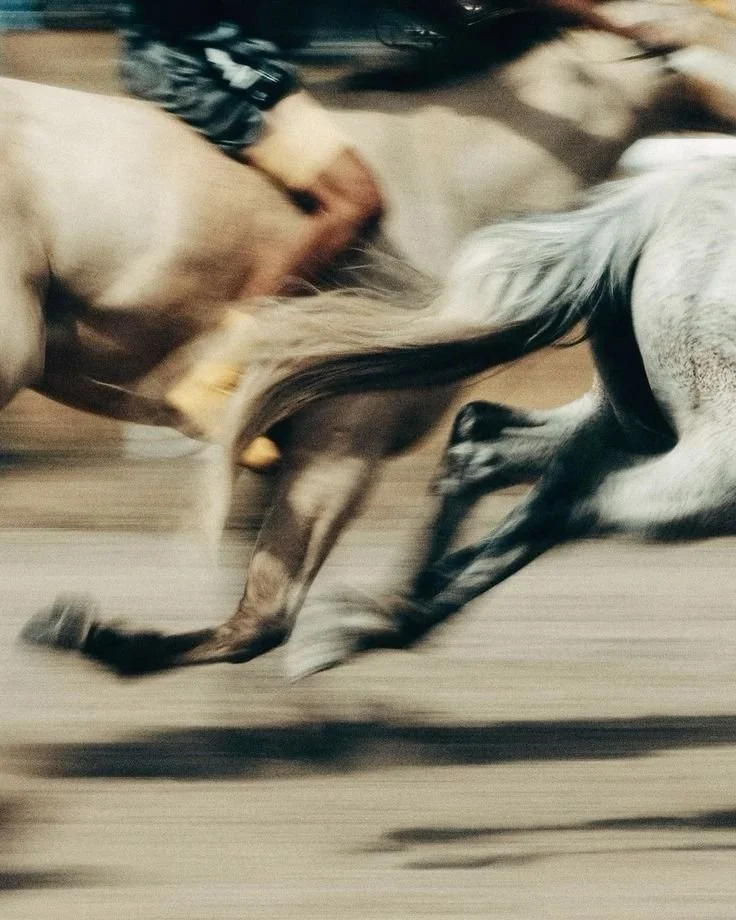Blurred equestrian-inspired lifestyle image expressing movement, freedom and refined countryside living connected to luxury estate positioning.