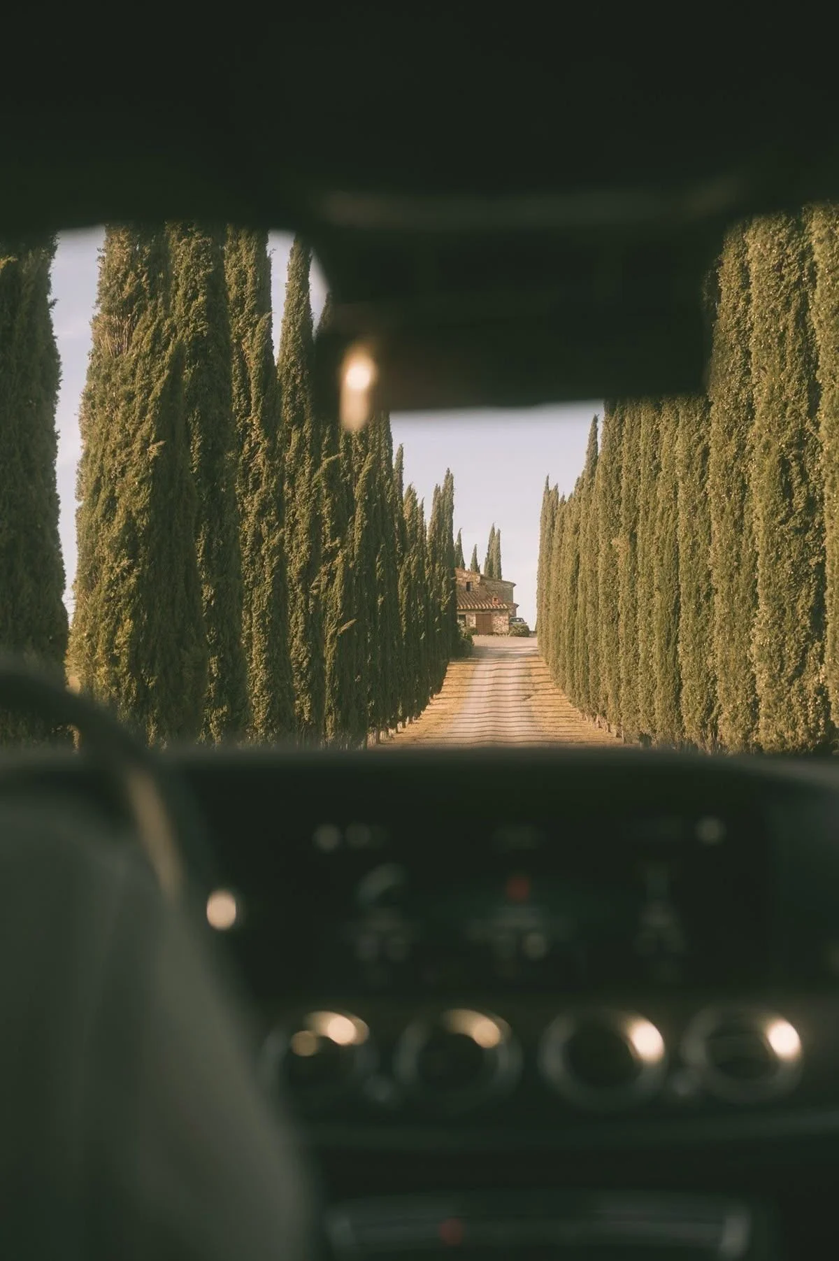 Cypress-lined private drive evoking exclusivity, privacy and timeless estate living in luxury property positioning concept for Cascais villa.