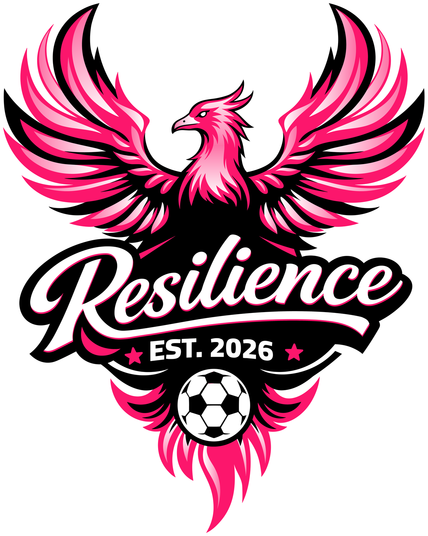 Resilience Collective