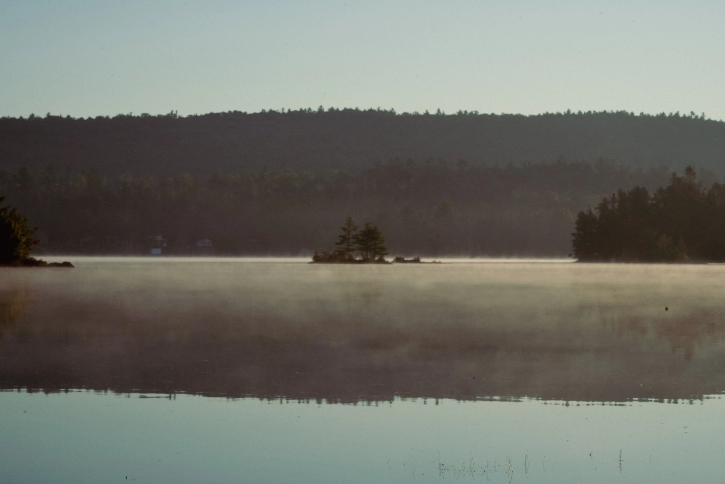 A tranquil lake scene with an island of trees in the middle, surrounded by mist and reflections on the calm water, with forested hills in the background.