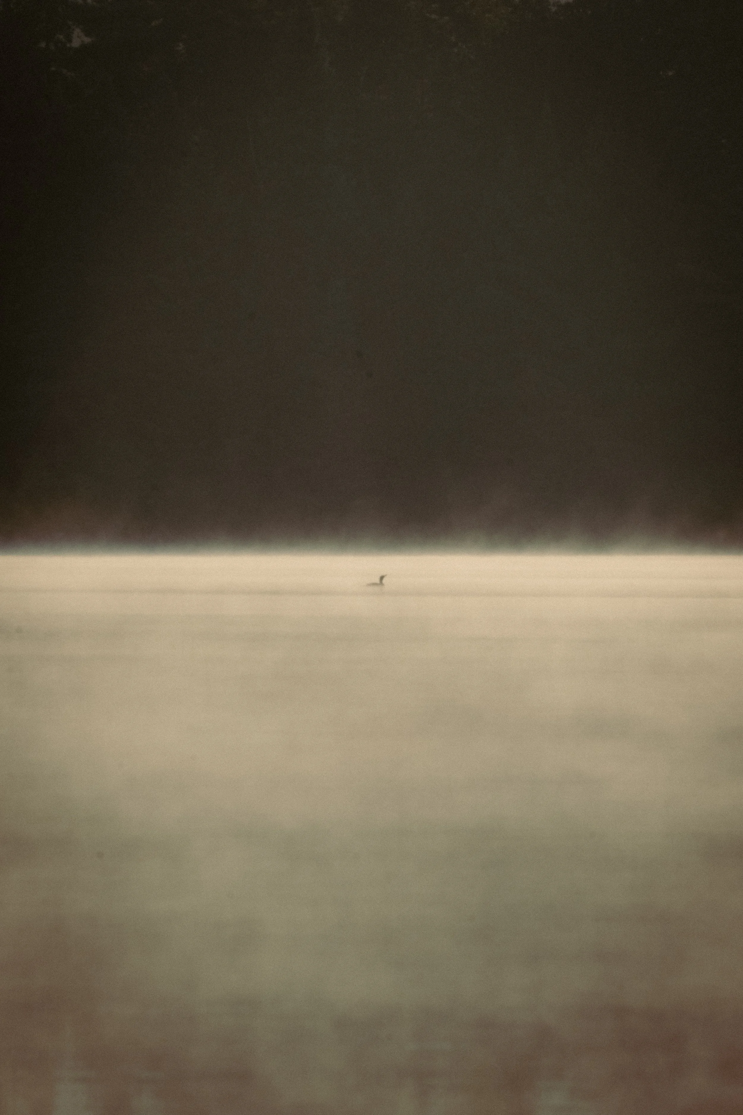 A lone bird flying over a body of water with a dark, cloudy sky overhead.