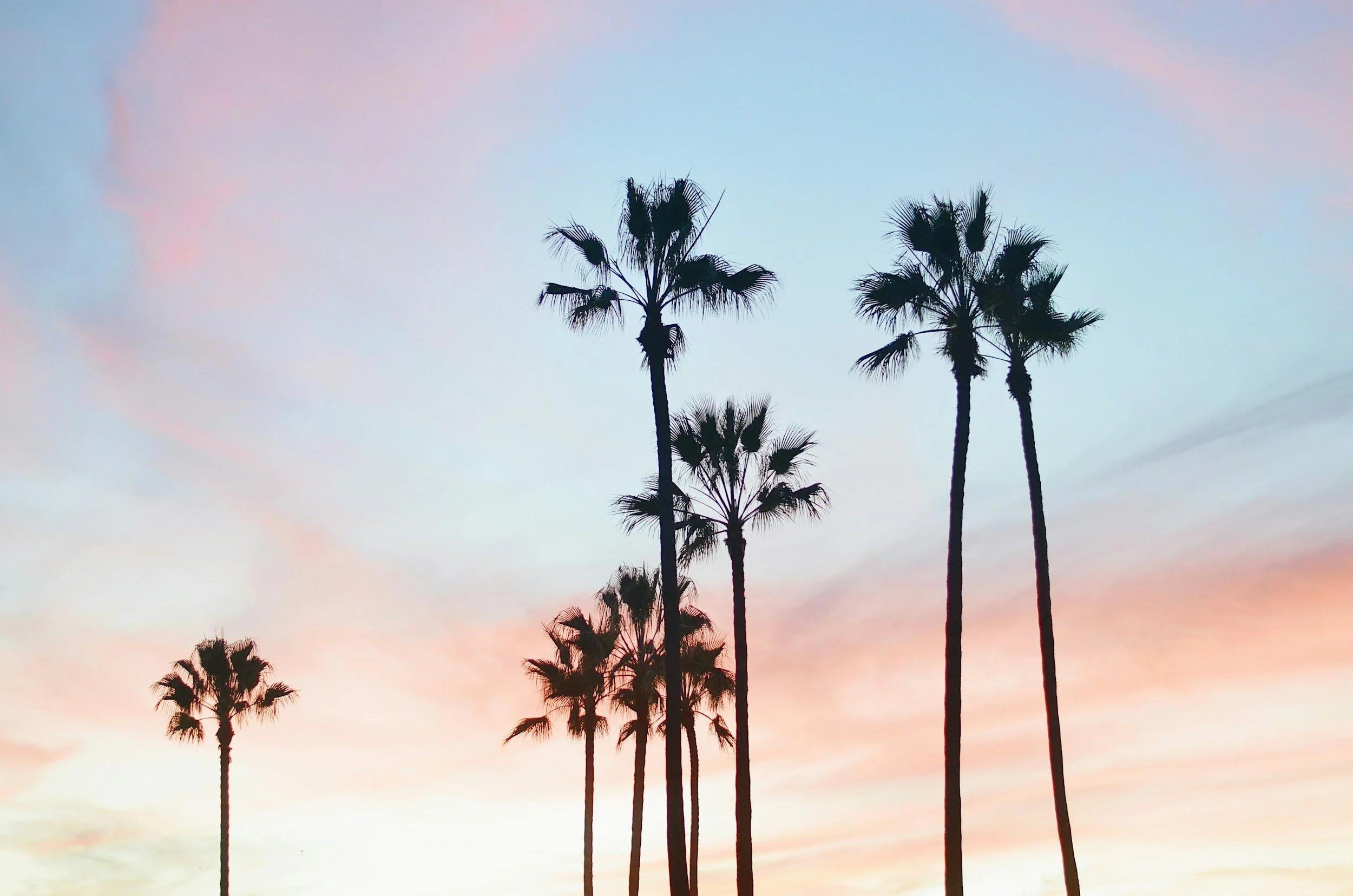 Silhouettes of tall palm trees against a colorful sunset sky with pink, orange, and blue hues.