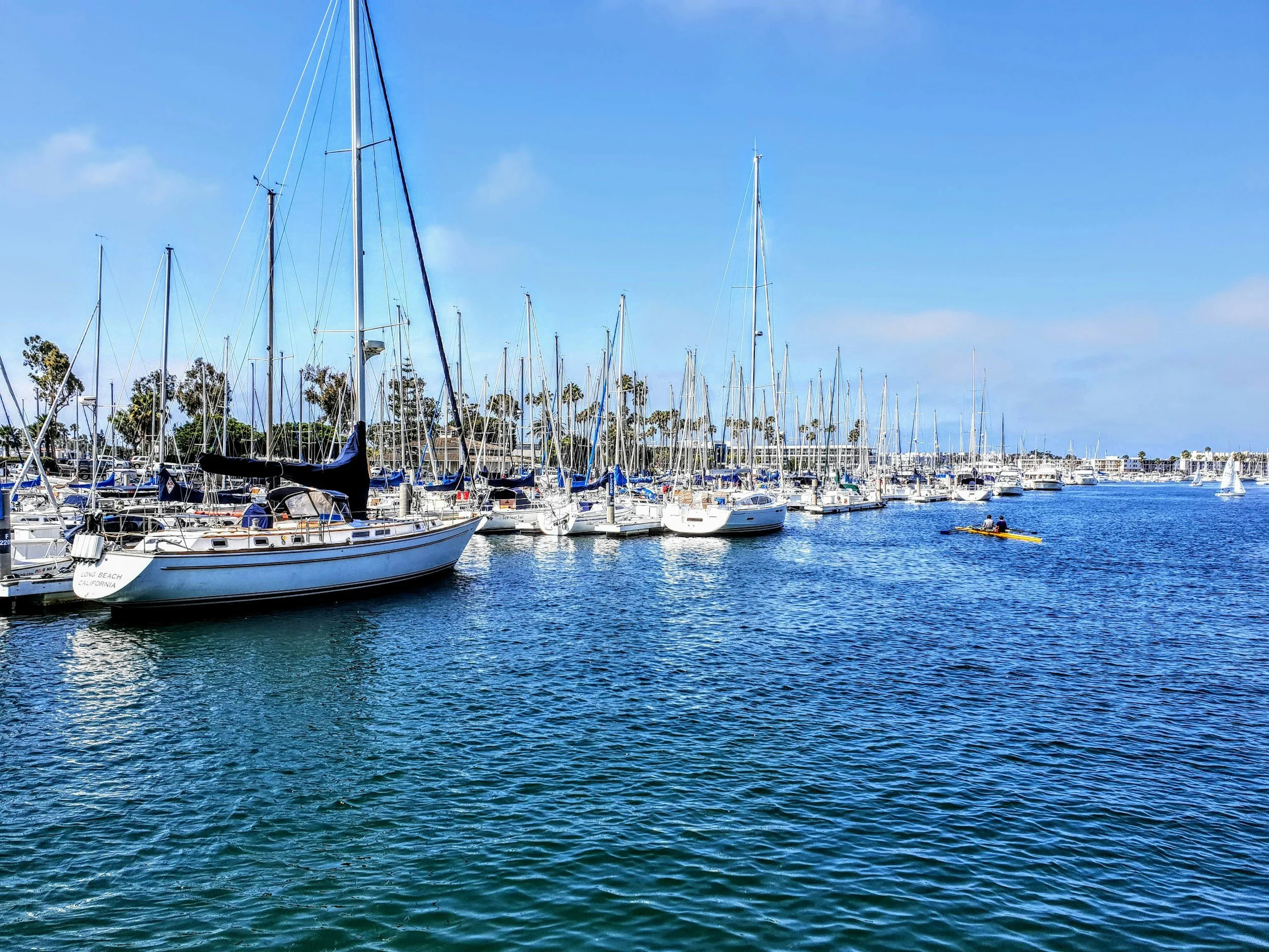 A marina filled with sailboats docked in calm blue water on a sunny day, with trees and buildings visible in the background.