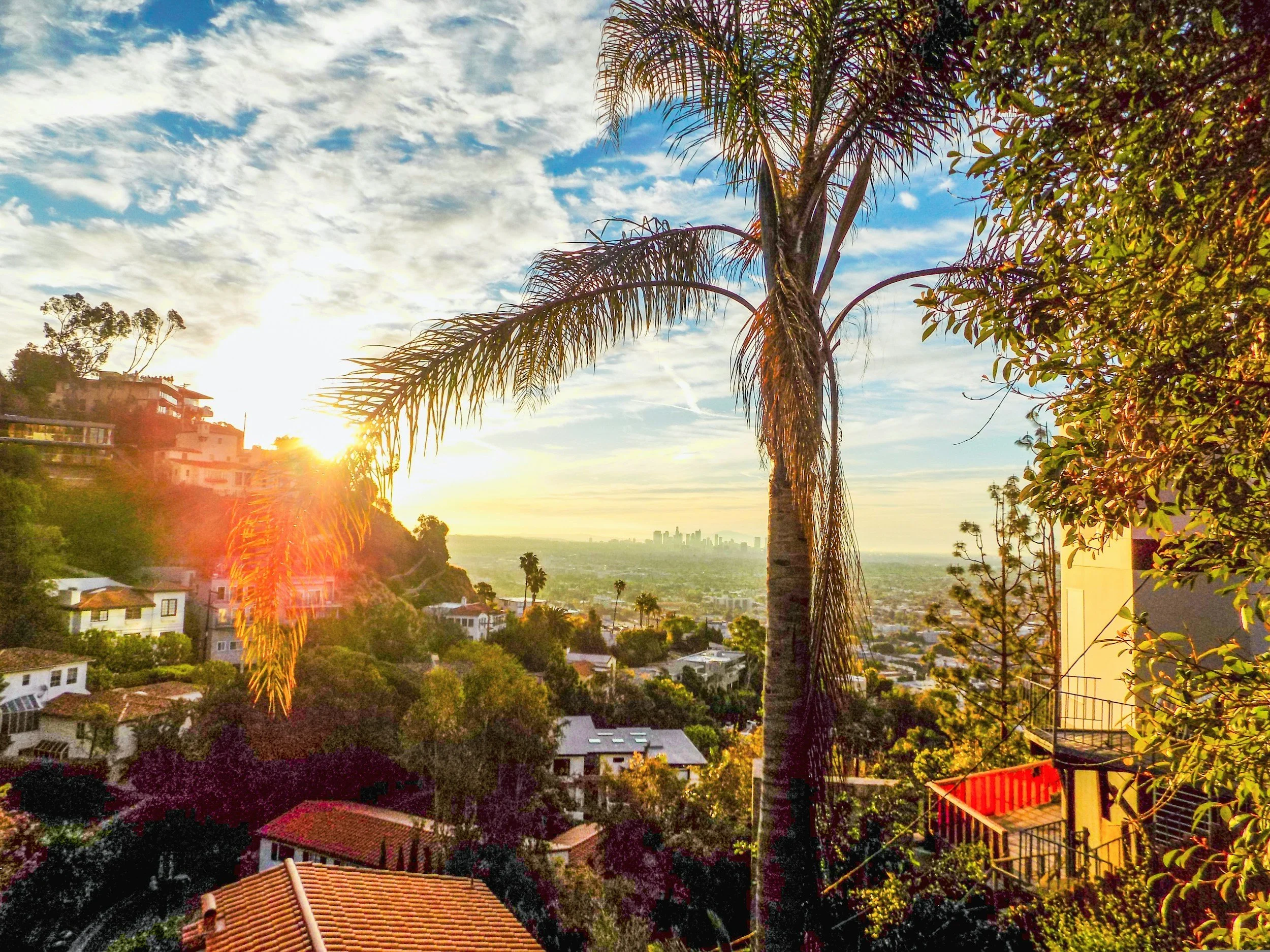 Sunset over a suburban neighborhood with a prominent tall palm tree in the foreground, surrounding houses with tiled roofs, and a distant city skyline with high-rise buildings under a partly cloudy sky.