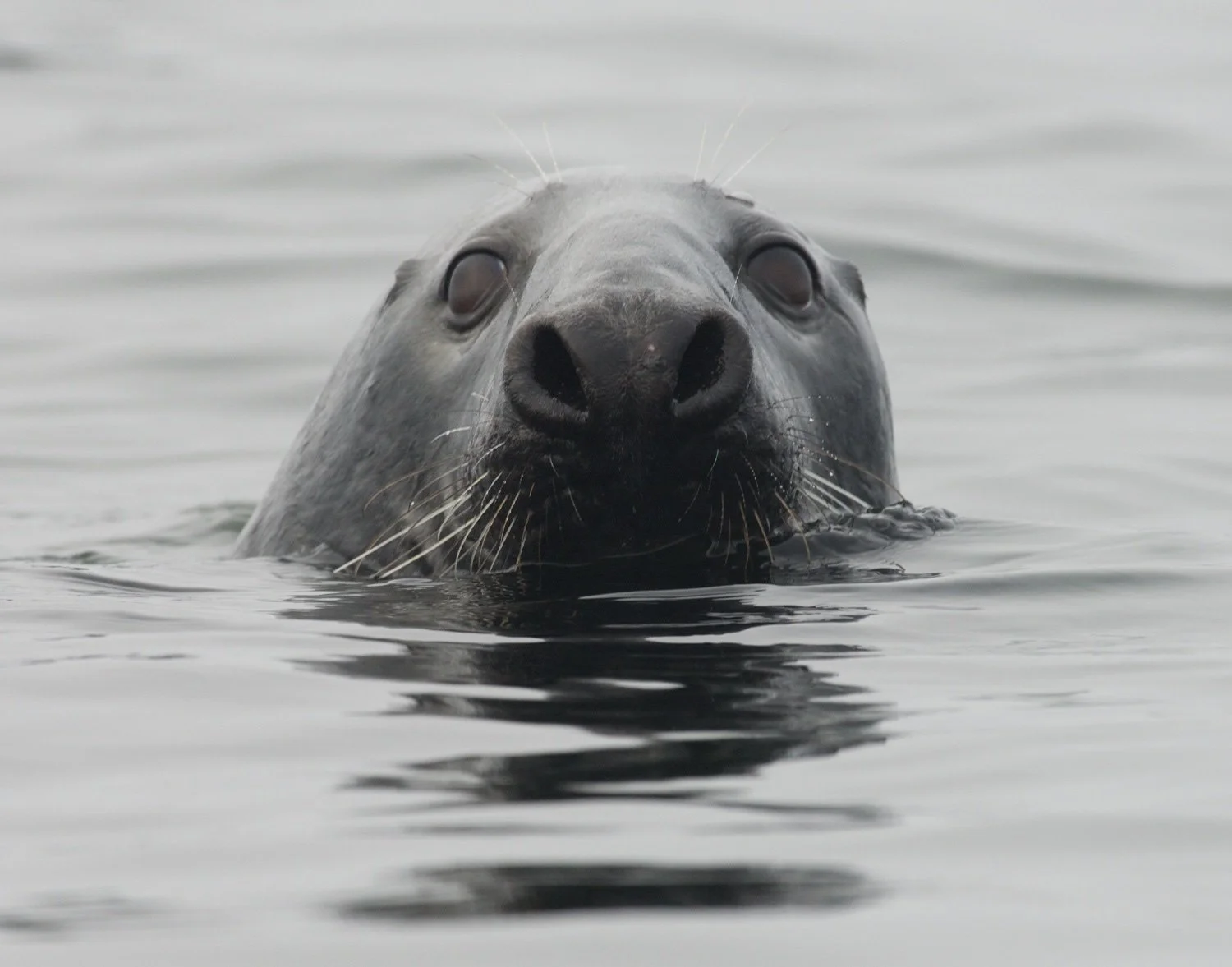 MER_6875.jpg