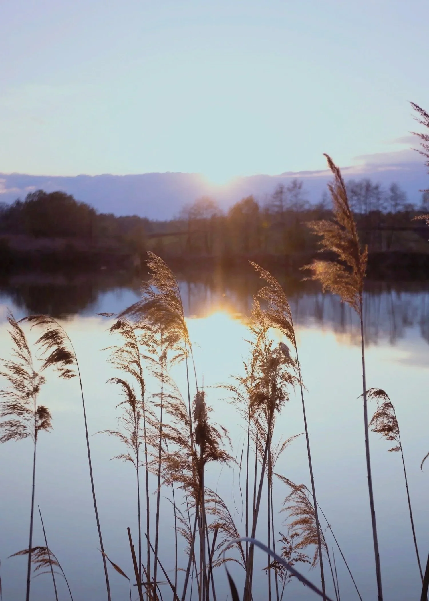 Better living with better hearing and compassion care. Provider Michelle Miller audiologist