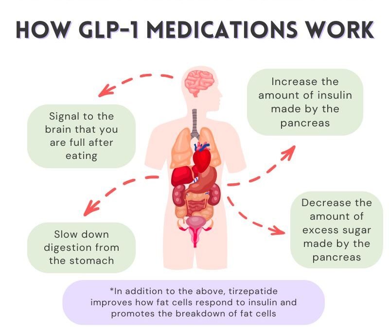 Diagram showing how GLP-1 medications work, with a human figure and illustrations of organs. It explains that GLP-1 medications increase insulin production by the pancreas, signal the brain that you are full after eating, slow digestion from the stomach, and decrease excess sugar made by the pancreas. Additional note states that tirzepatide improves fat cell response to insulin and promotes fat cell breakdown.