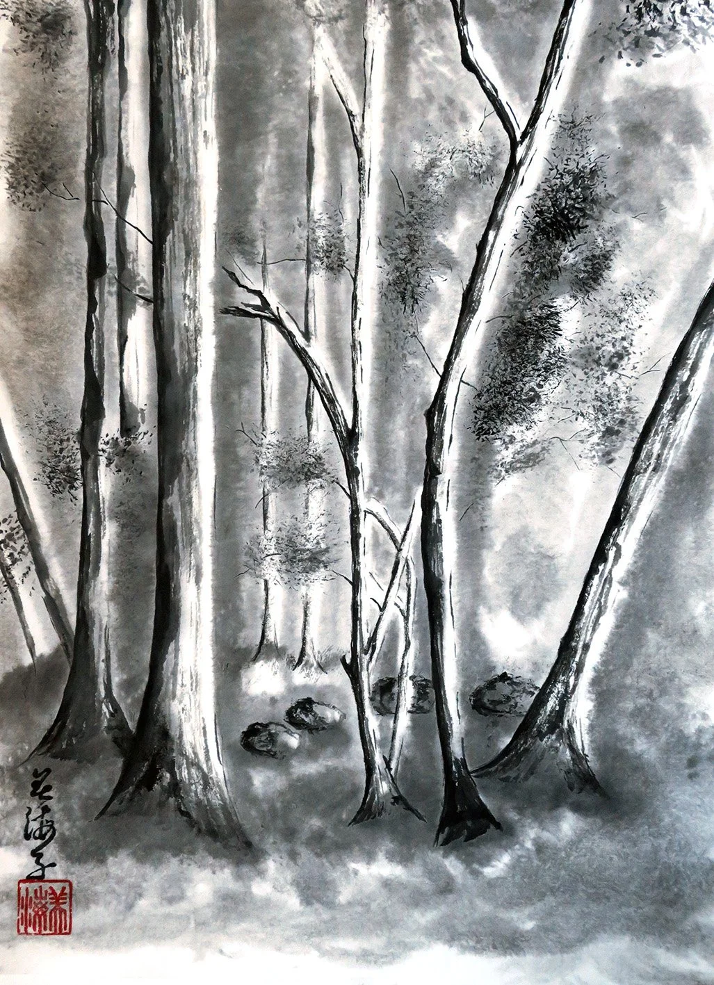 Light in the forest