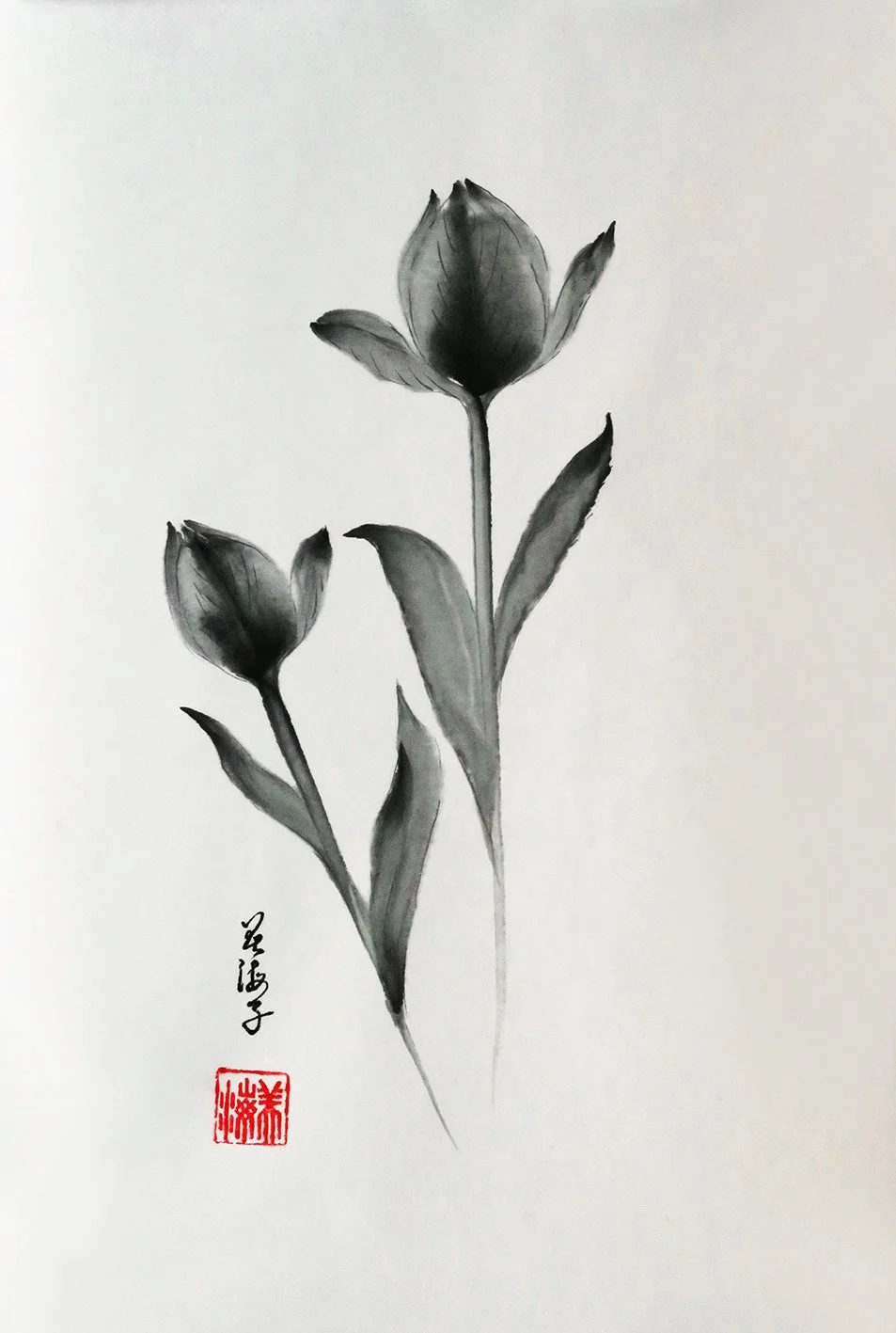 Tulips: A Cradle of Kindness