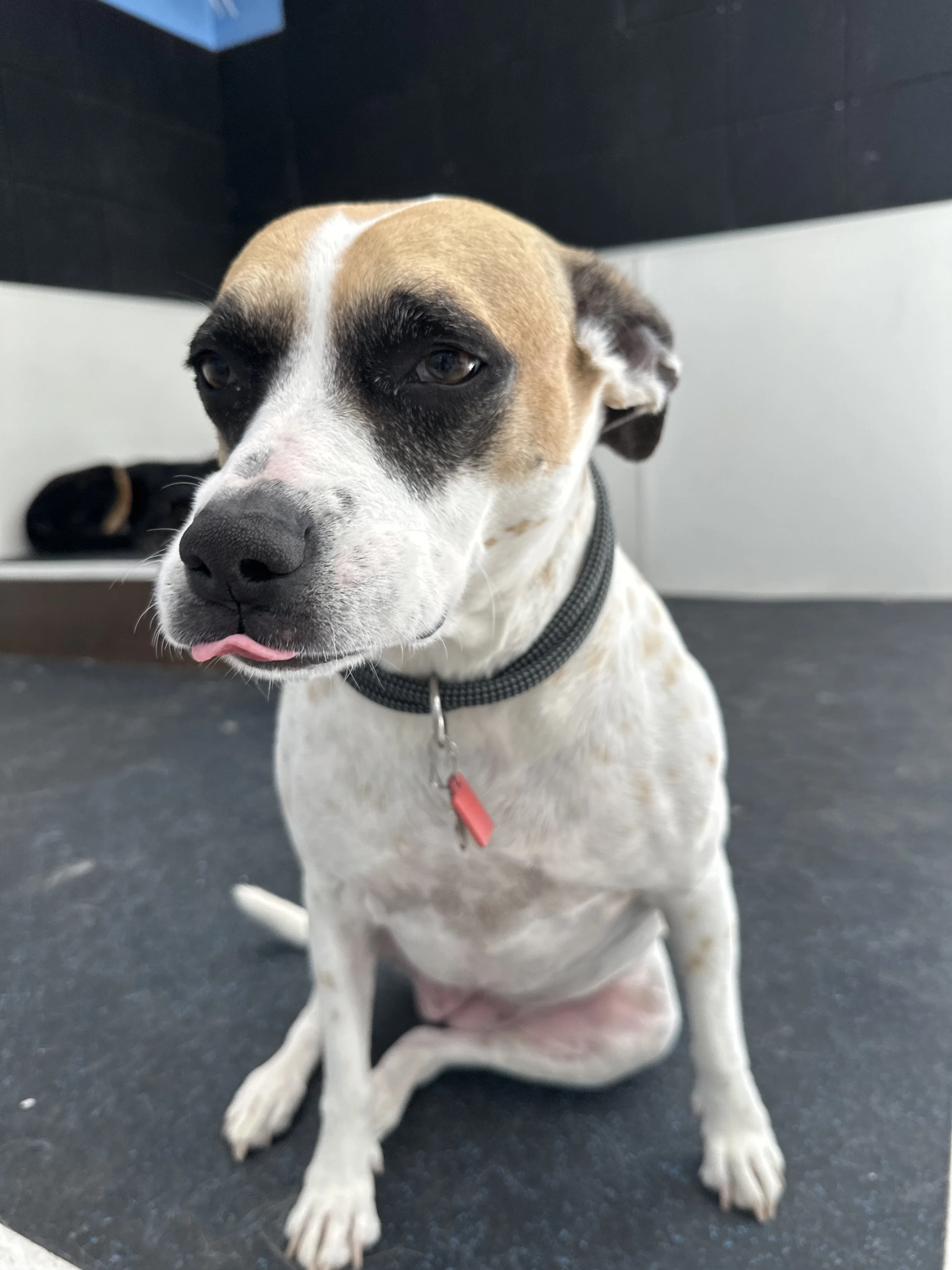 IMG_9058.jpeg