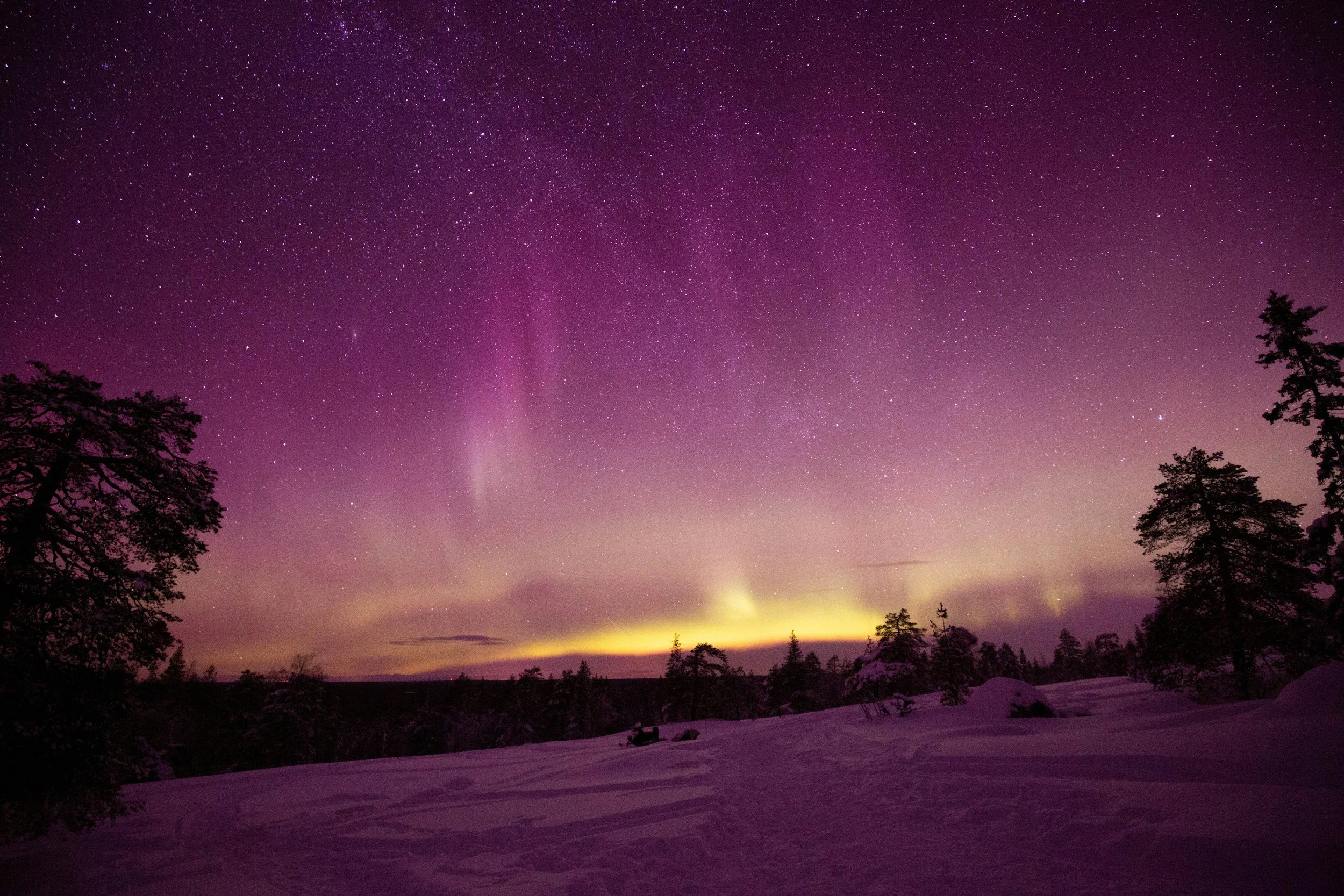 Night sky filled with stars and the aurora borealis over a snowy landscape with trees.