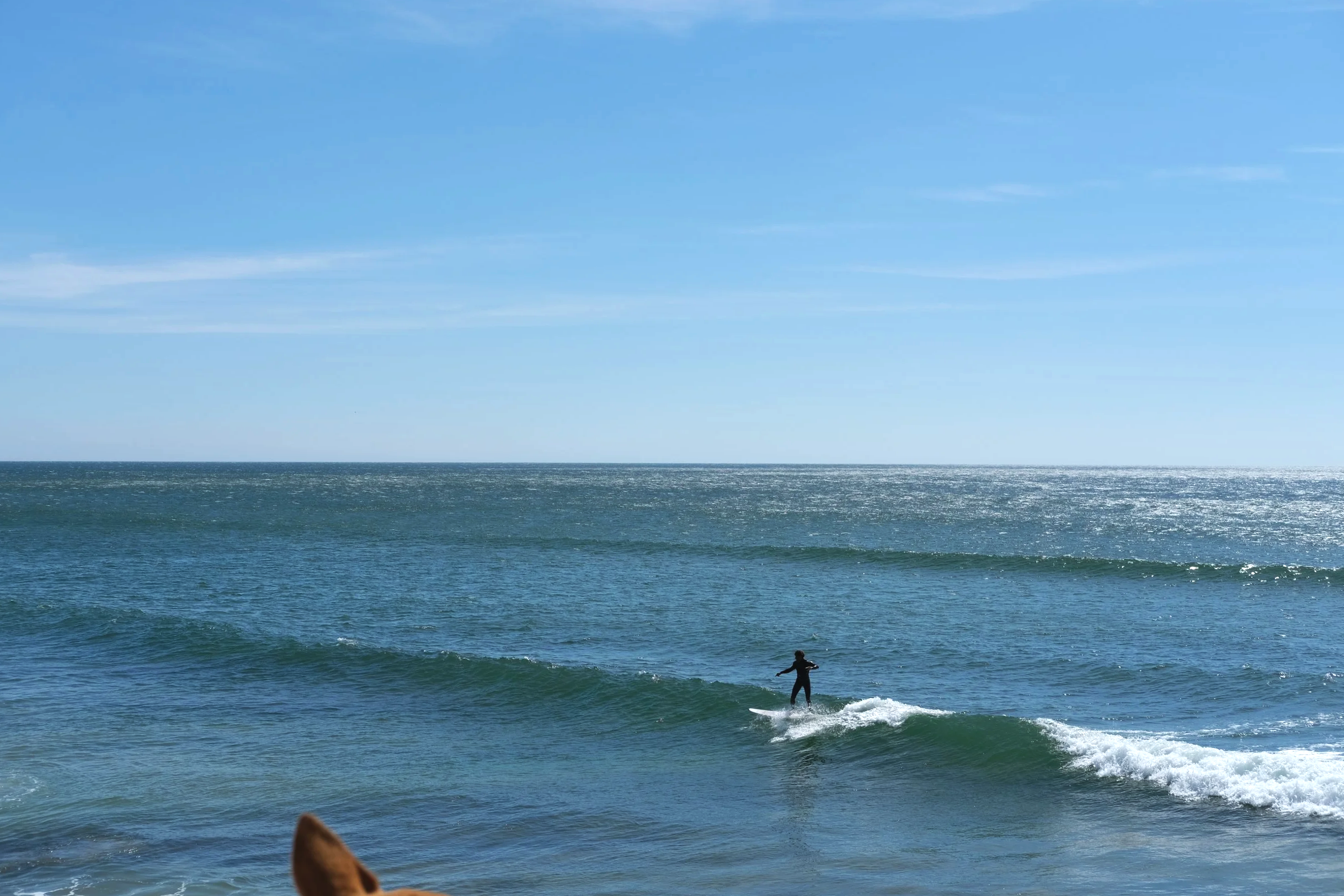 SURF WEEK