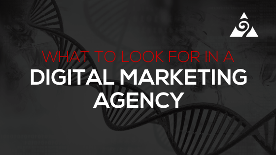 What To Look For In A Digital Marketing Agency