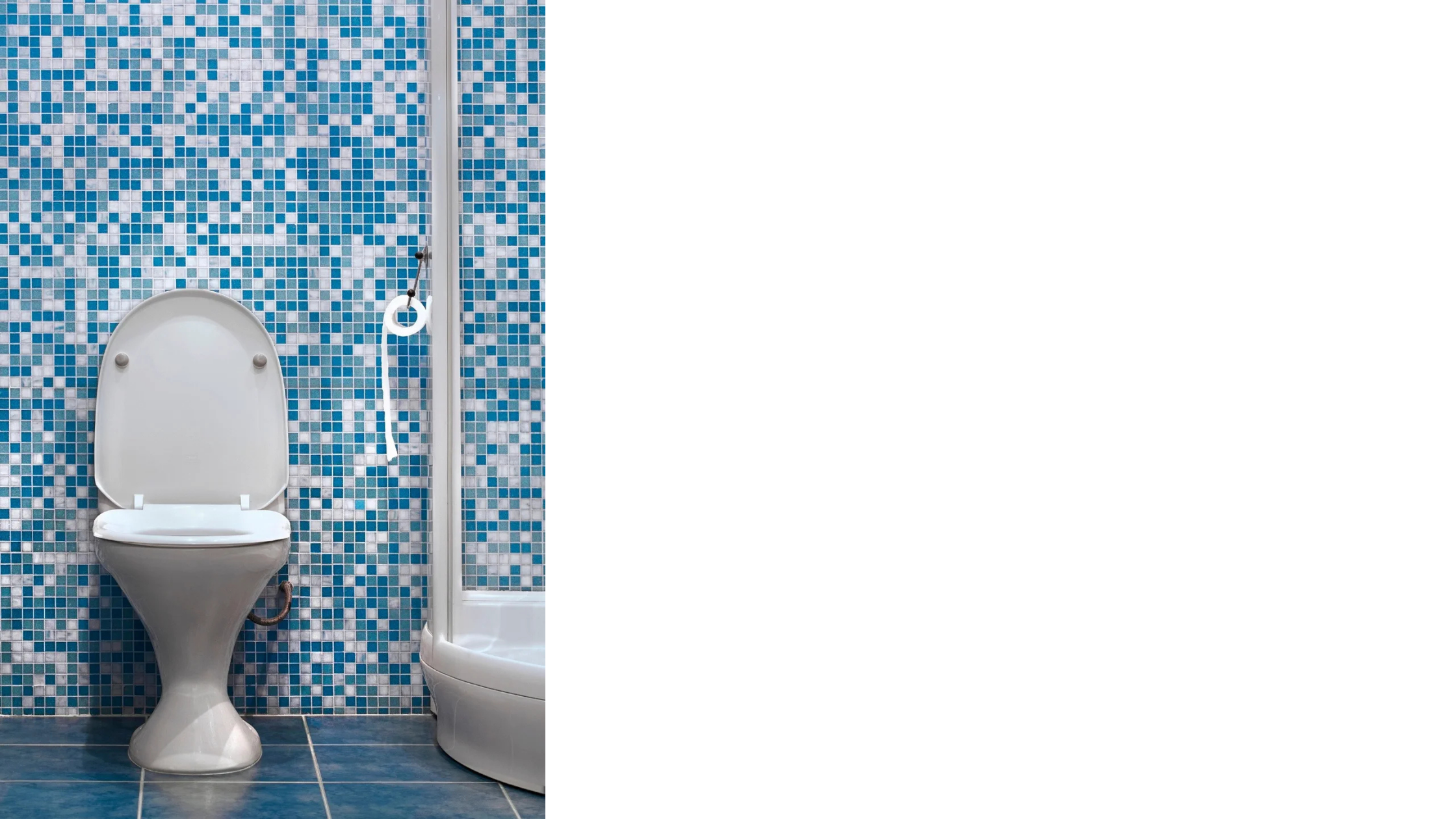 Should You Replace a Toilet or Just Repair It? Knoxville Plumber Explains