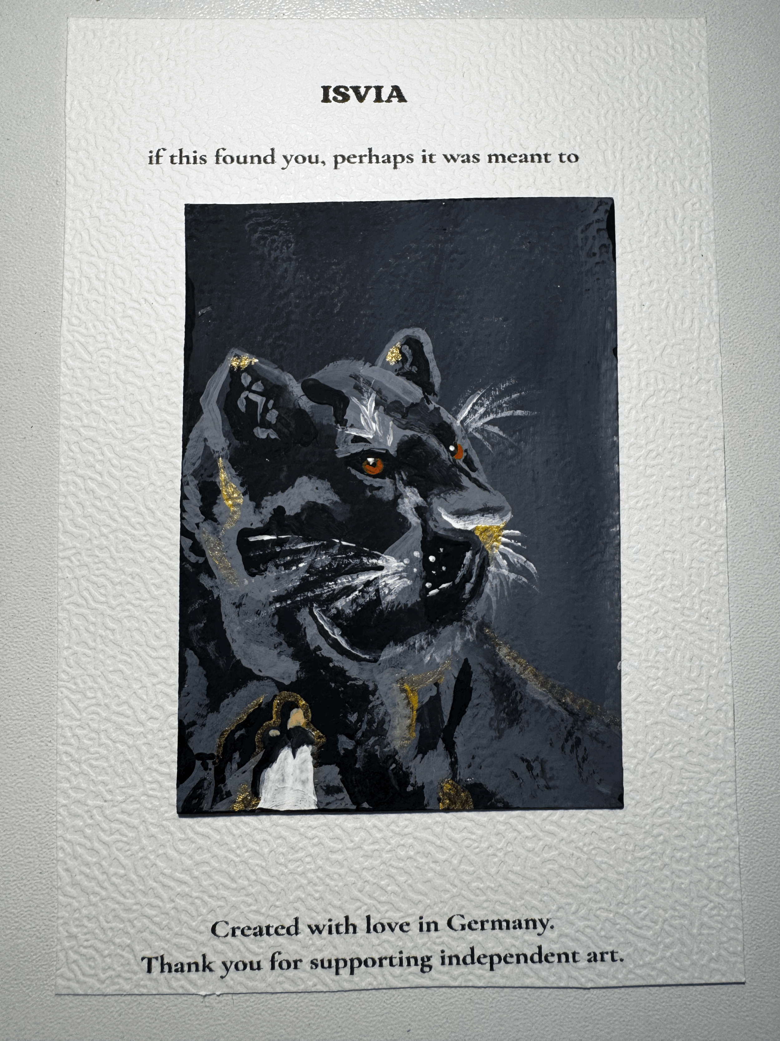 tempImageMVKacw.gif