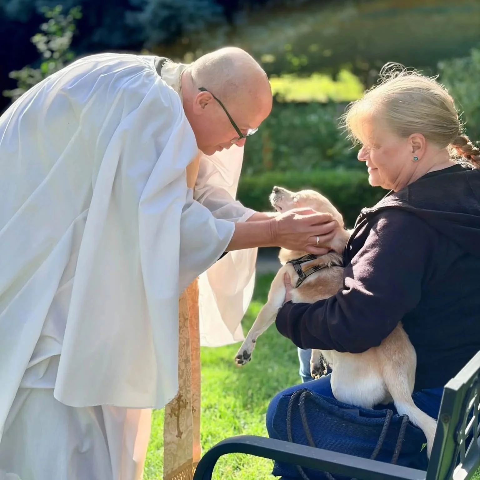Blessing of the Pets, 2026