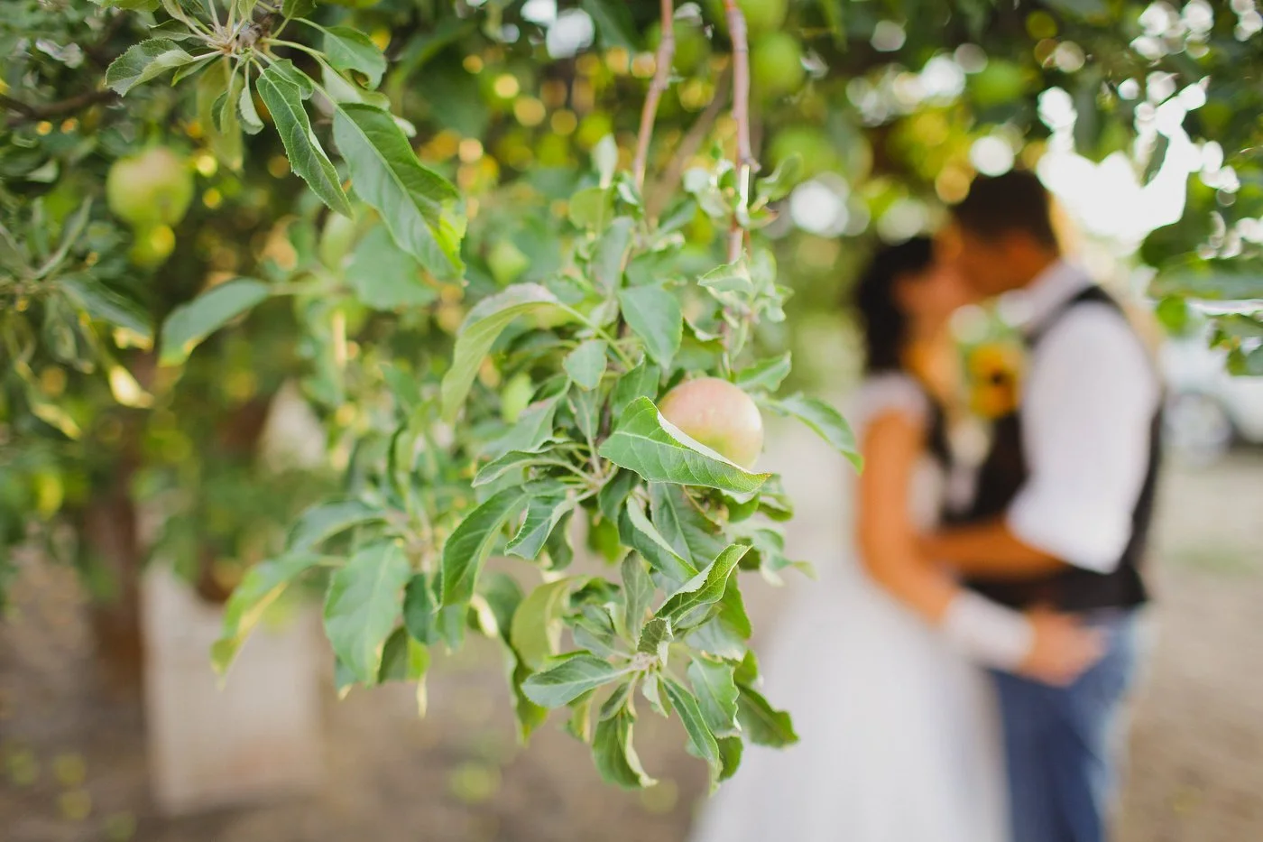 Rachel and Travis-hi res 2-0218.jpg