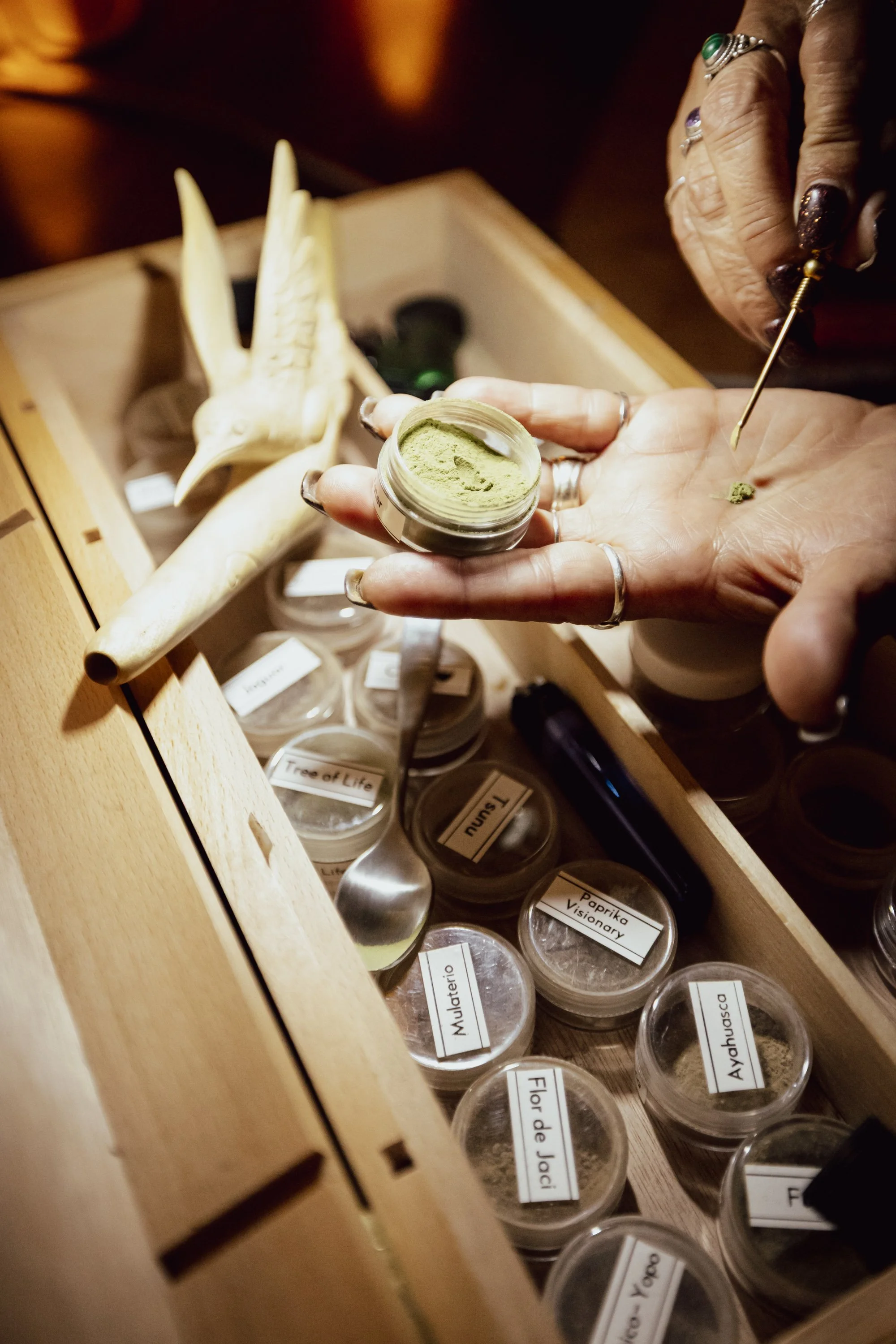 A person's hand holding a small container of green powder with a spoon in it, above a wooden shelf containing labelled spice jars and some decorative animal-shaped objects.