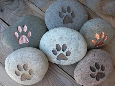 Five smooth stones with paw print carvings in different colors, arranged on a wooden surface.